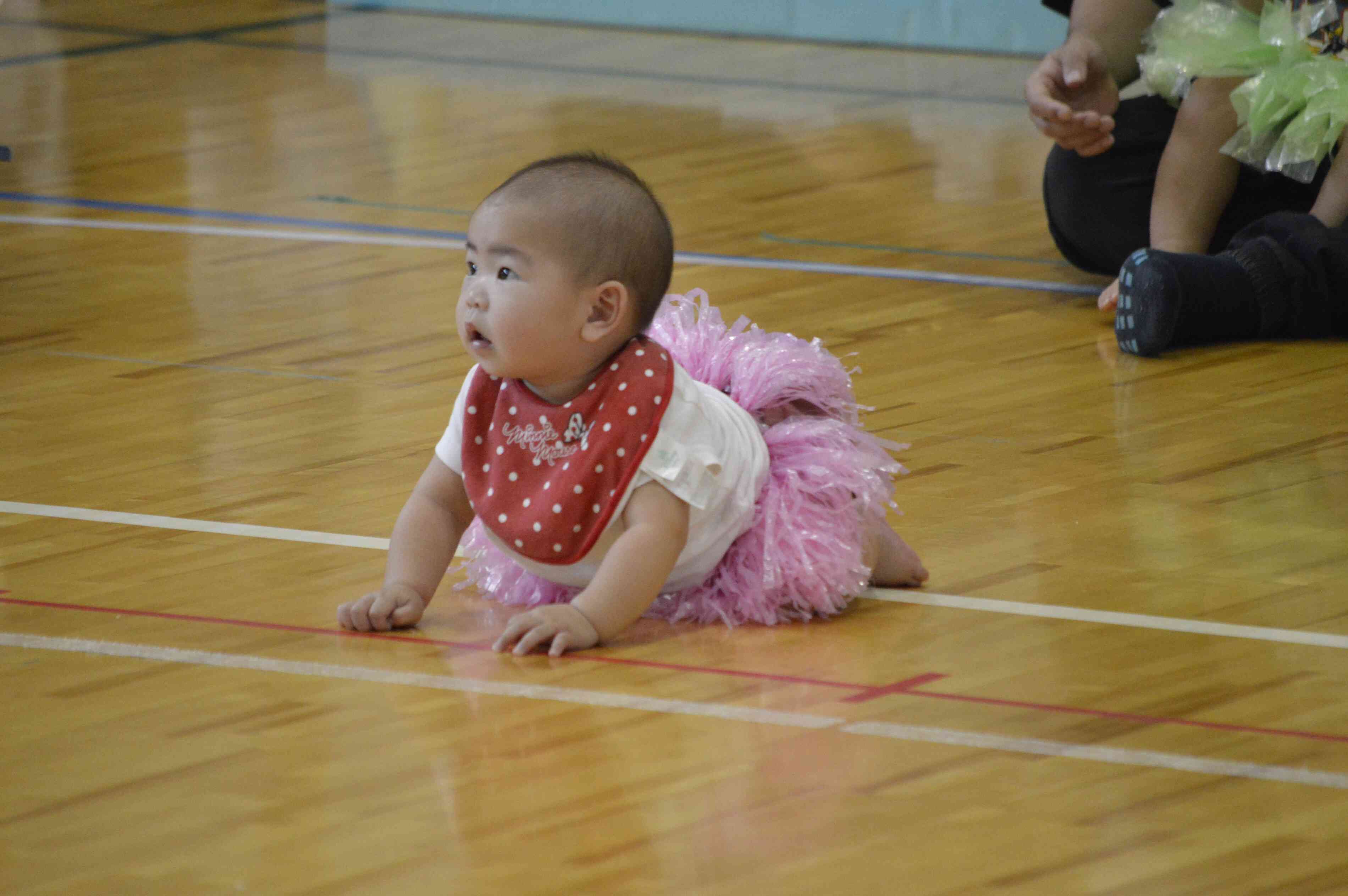 周りに興味がいっぱい。小さな子どもたちがよちよちハイハイ、とっても可愛らしいです。