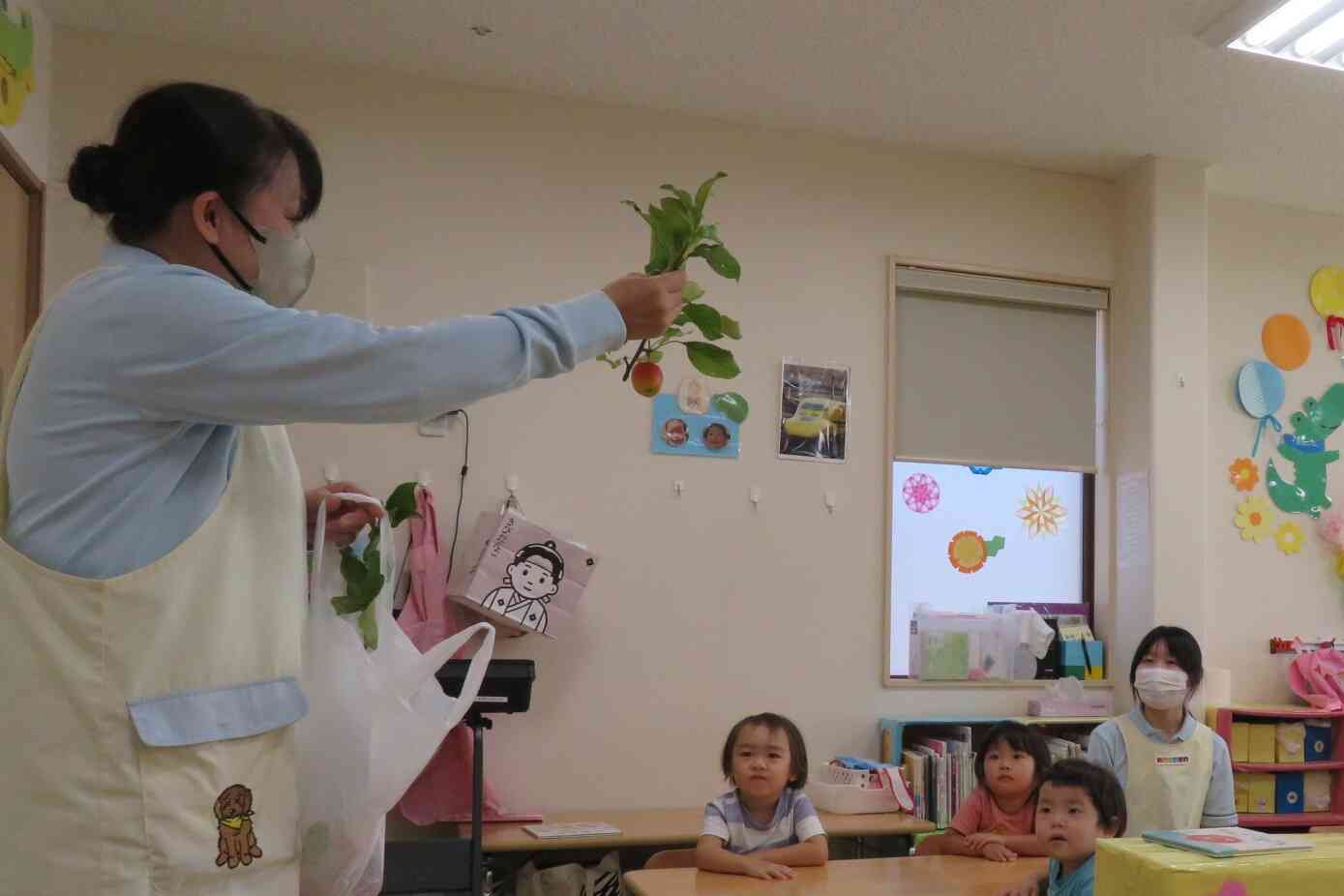 また別の日には姫りんごを見せてもらったよ。木の枝にぶら下がって赤く色づいたりんごです。