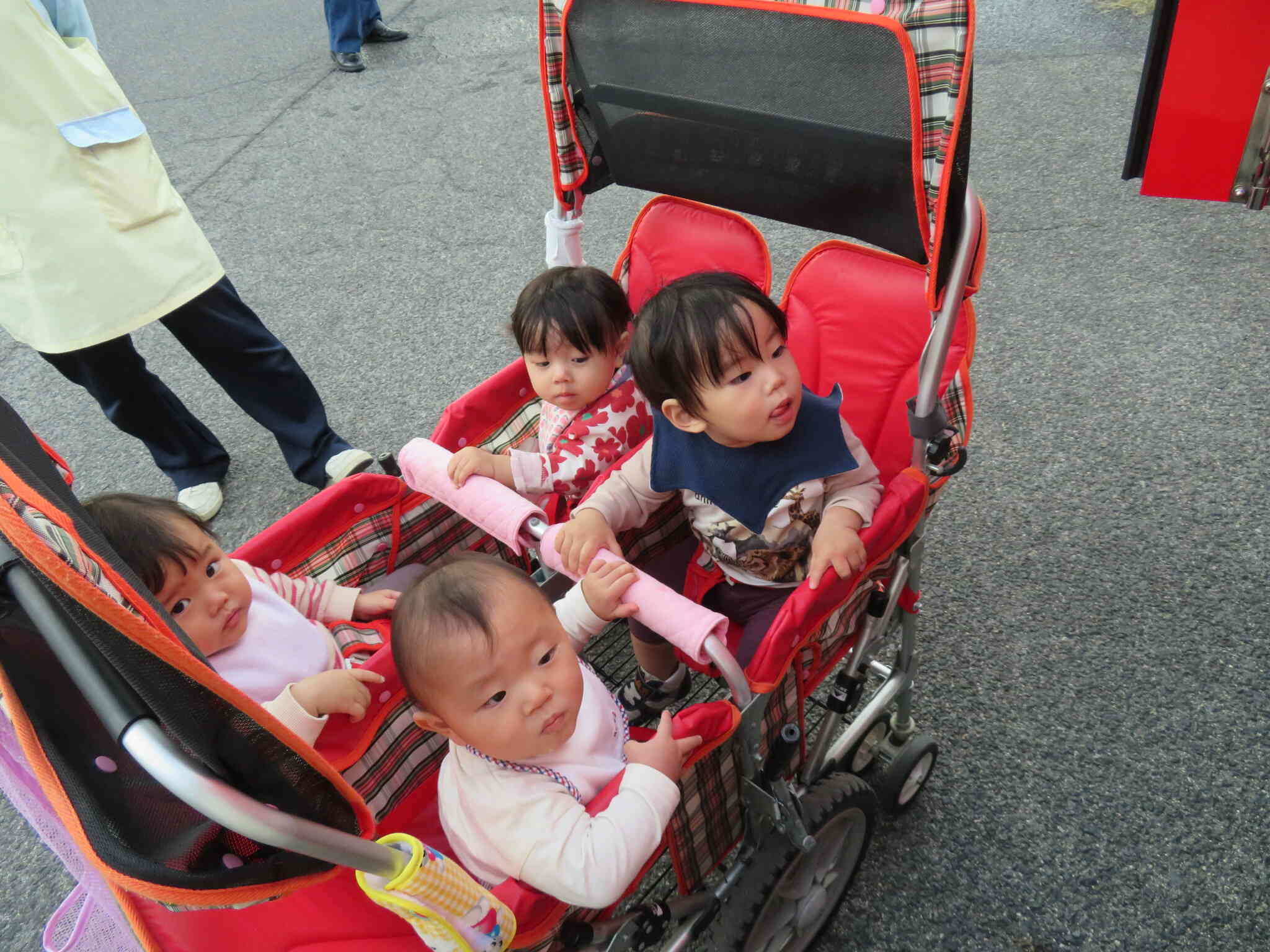 ０歳児の子どもたちはベビーカーに乗って見学しました。