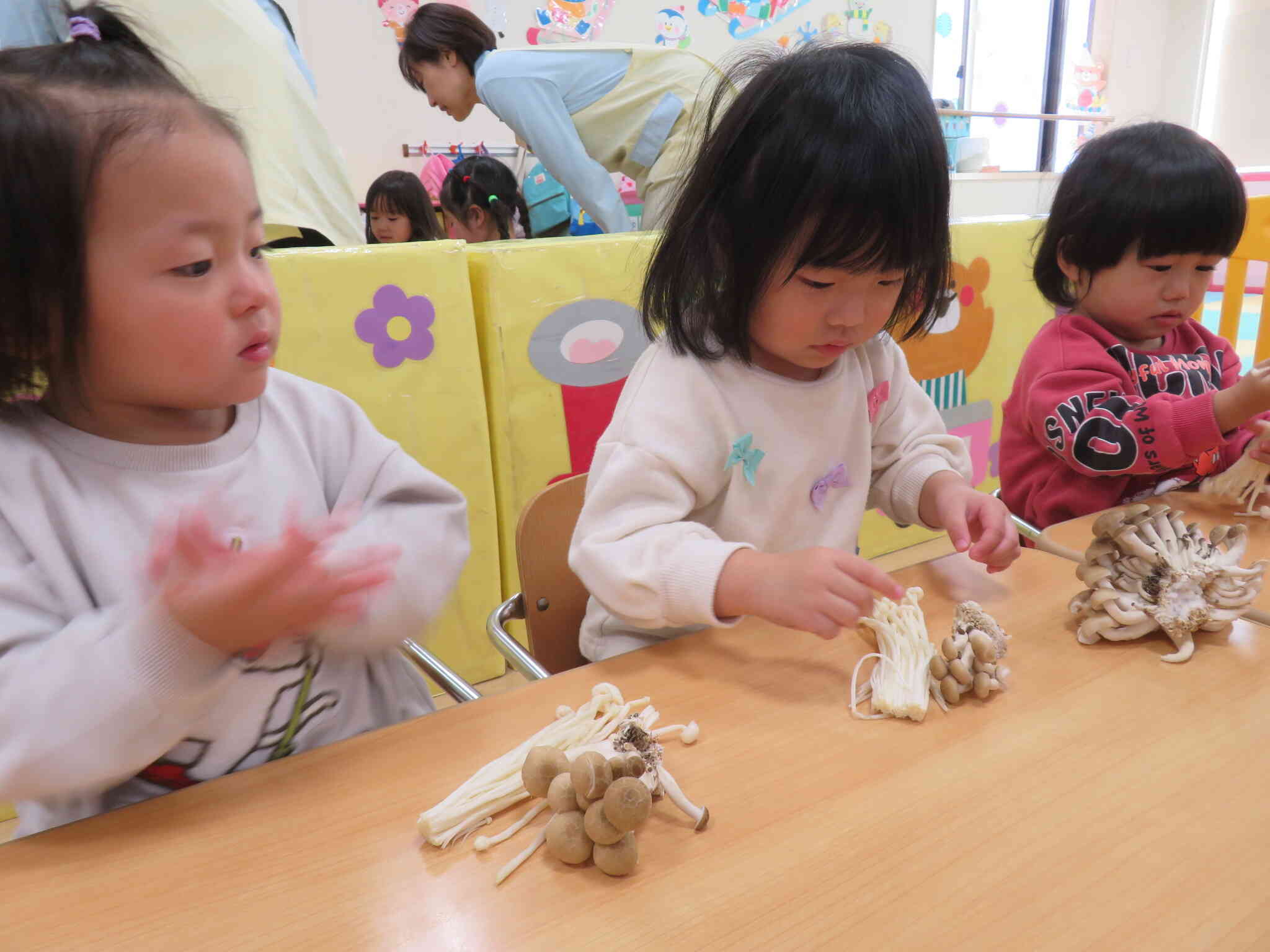 いろいろきのこ