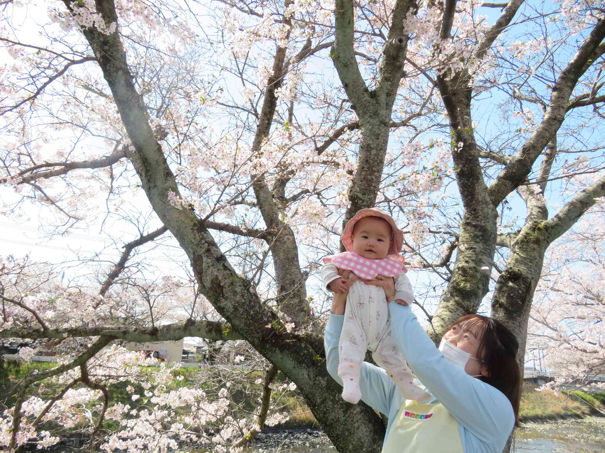 桜も笑顔も満開です♪