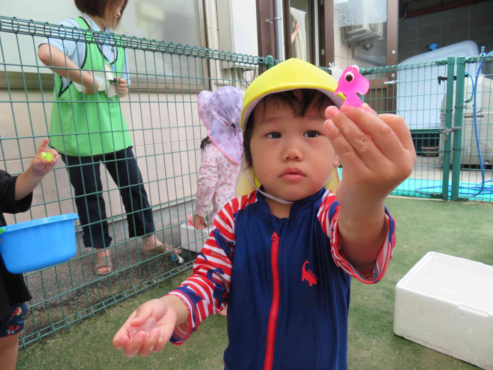 金魚さん見つけたよ