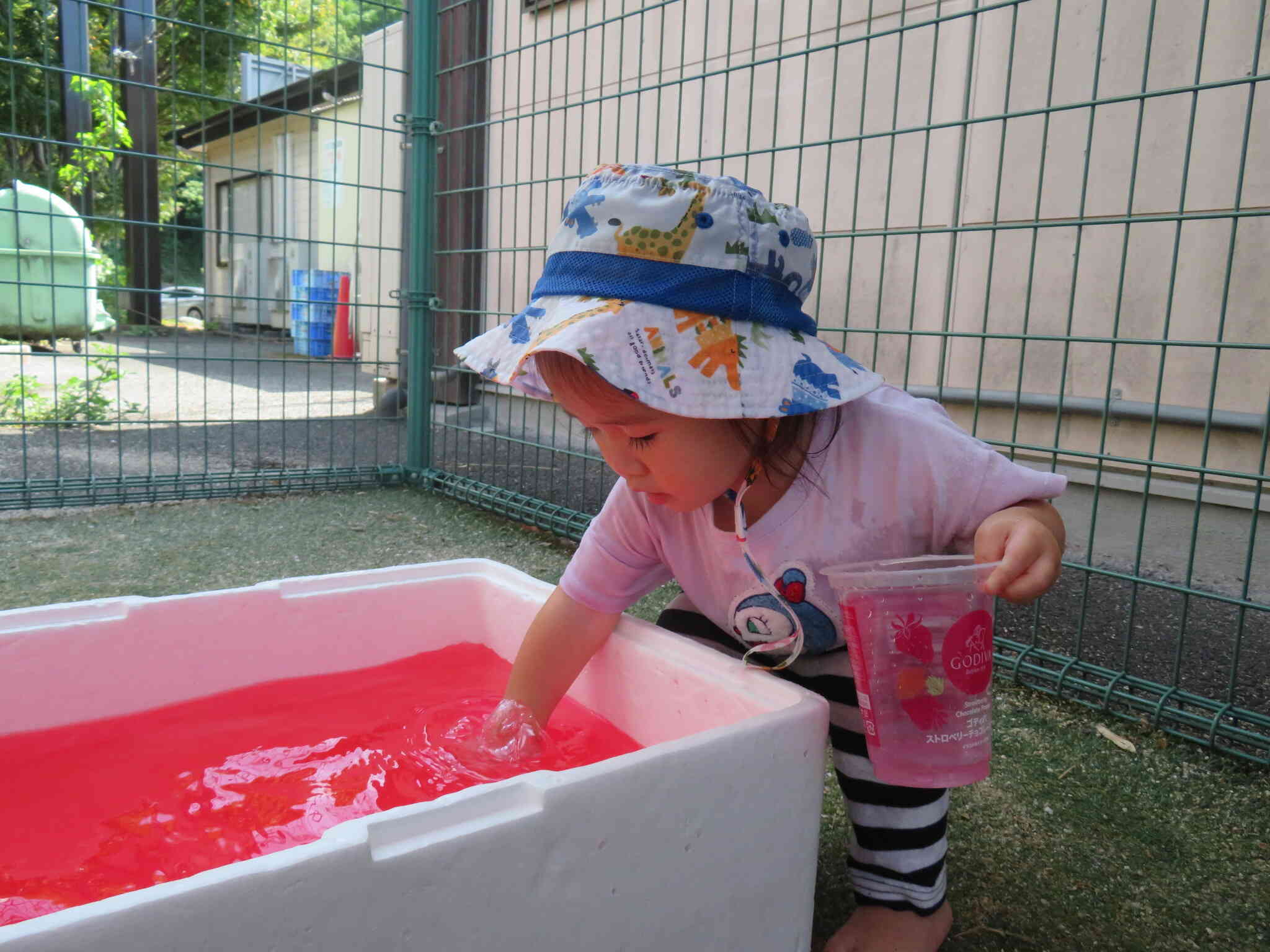 色水あそび
