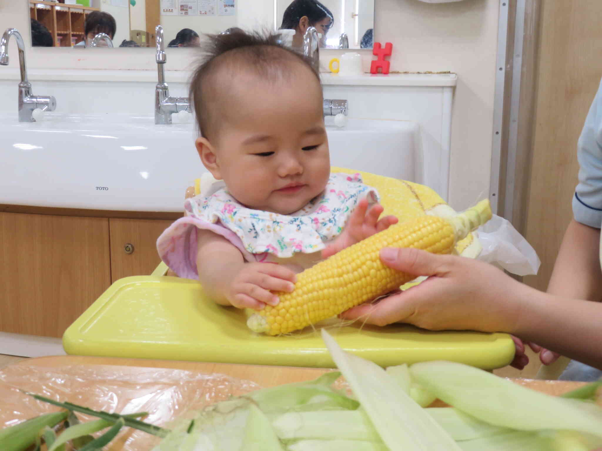 ひよこ組さんも触ってみましたよ