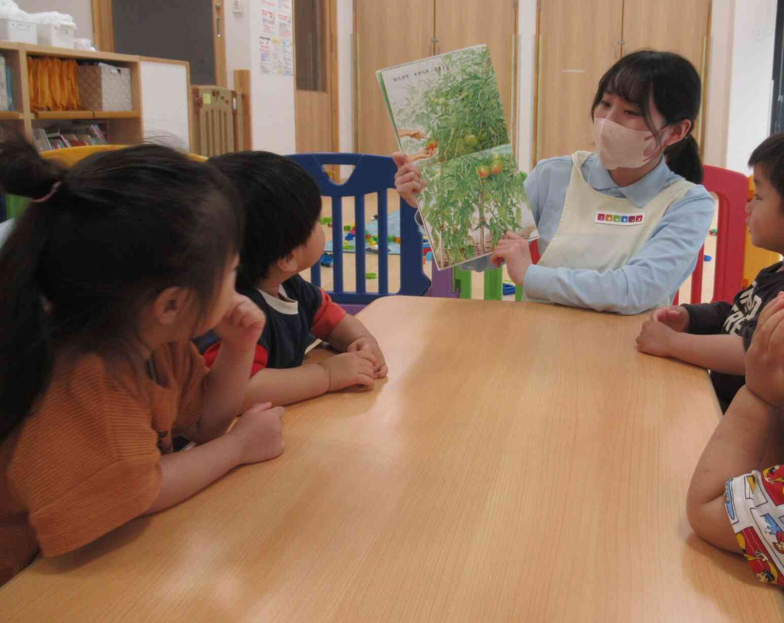 野菜の苗植え