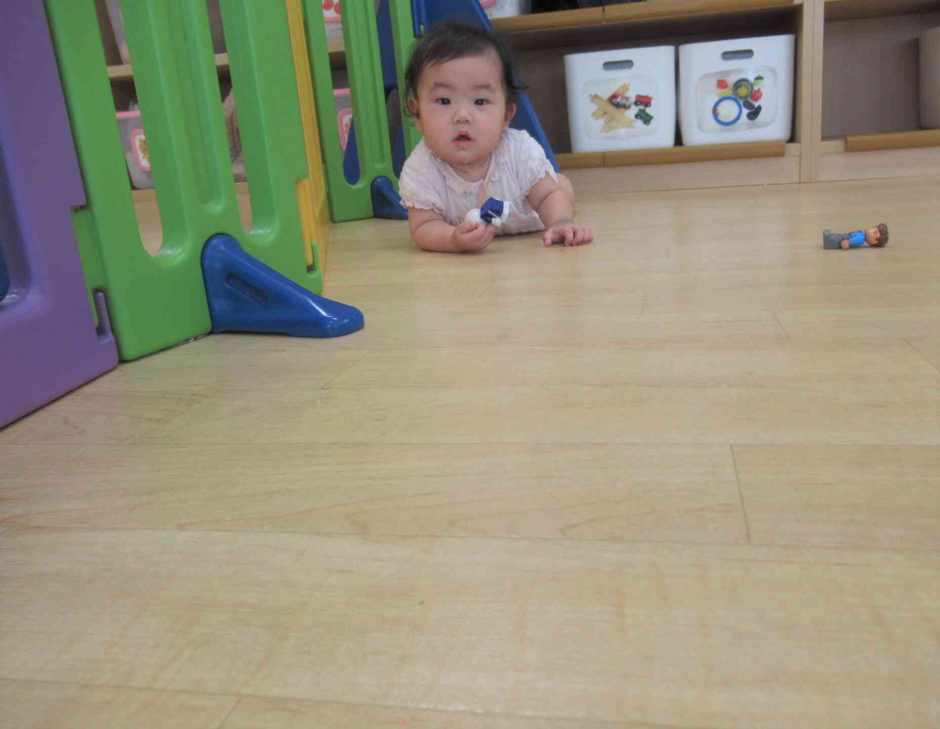 おいで～