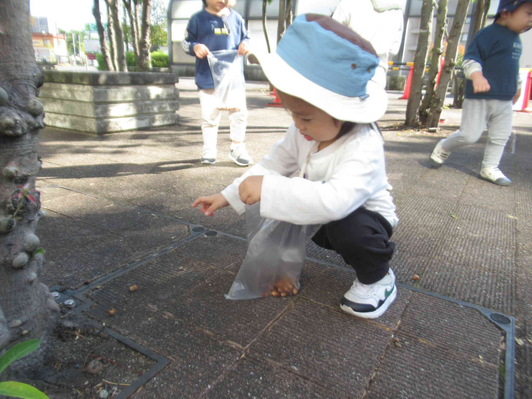 どんぐりを探しに♪　