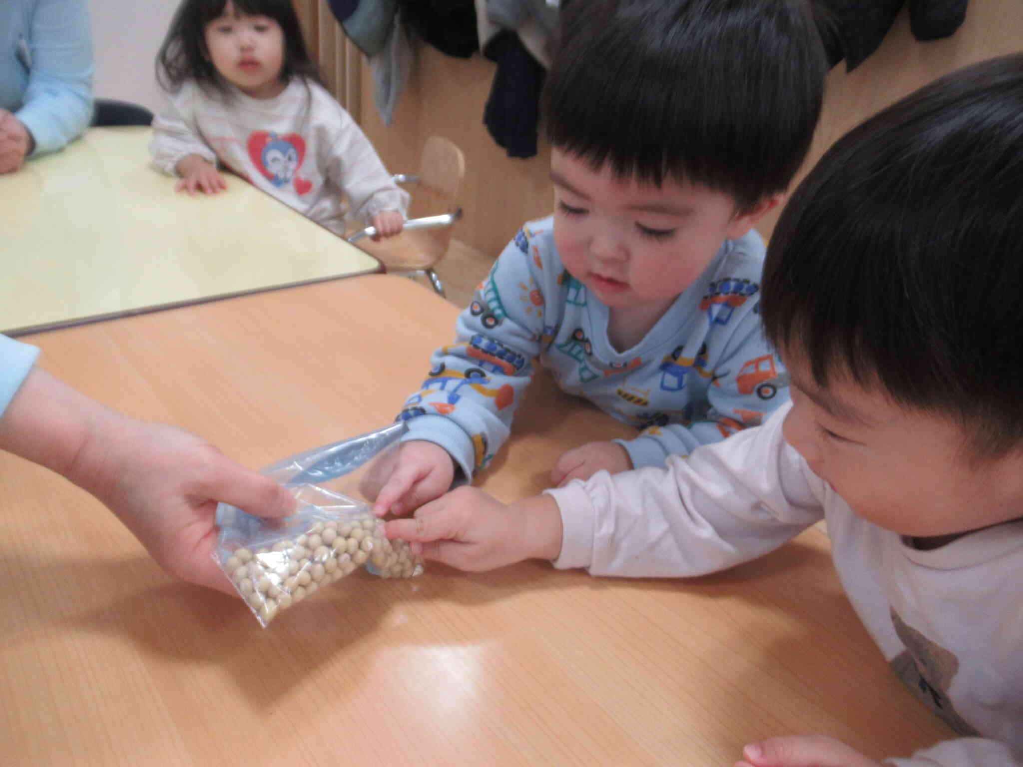 大豆ってどんな形かな？