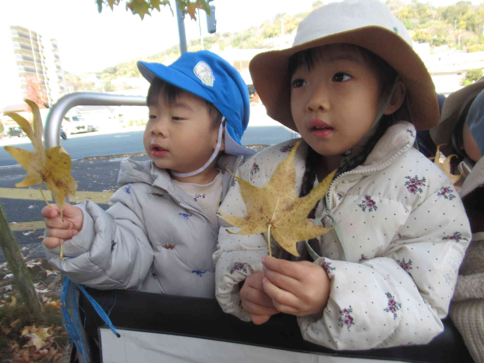 おててみたいで可愛いね