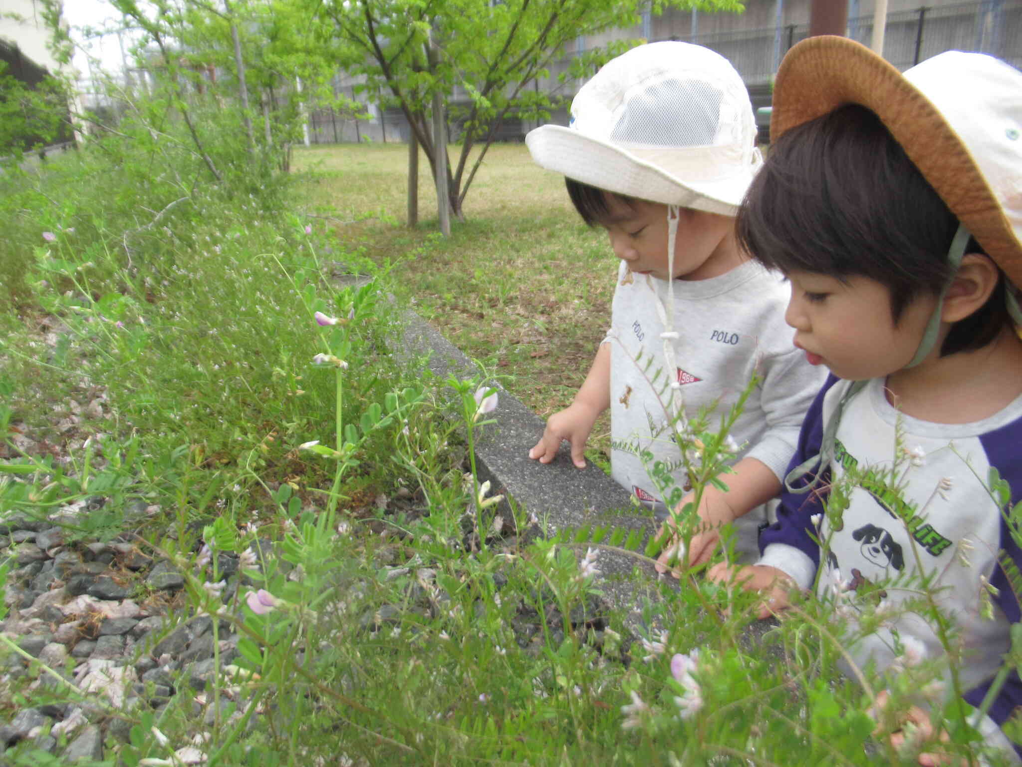 なにかいるかな～？
