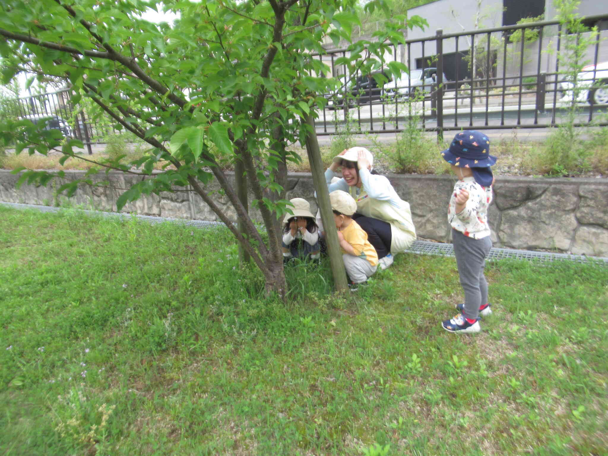 みんなでかくれんぼもしました♪