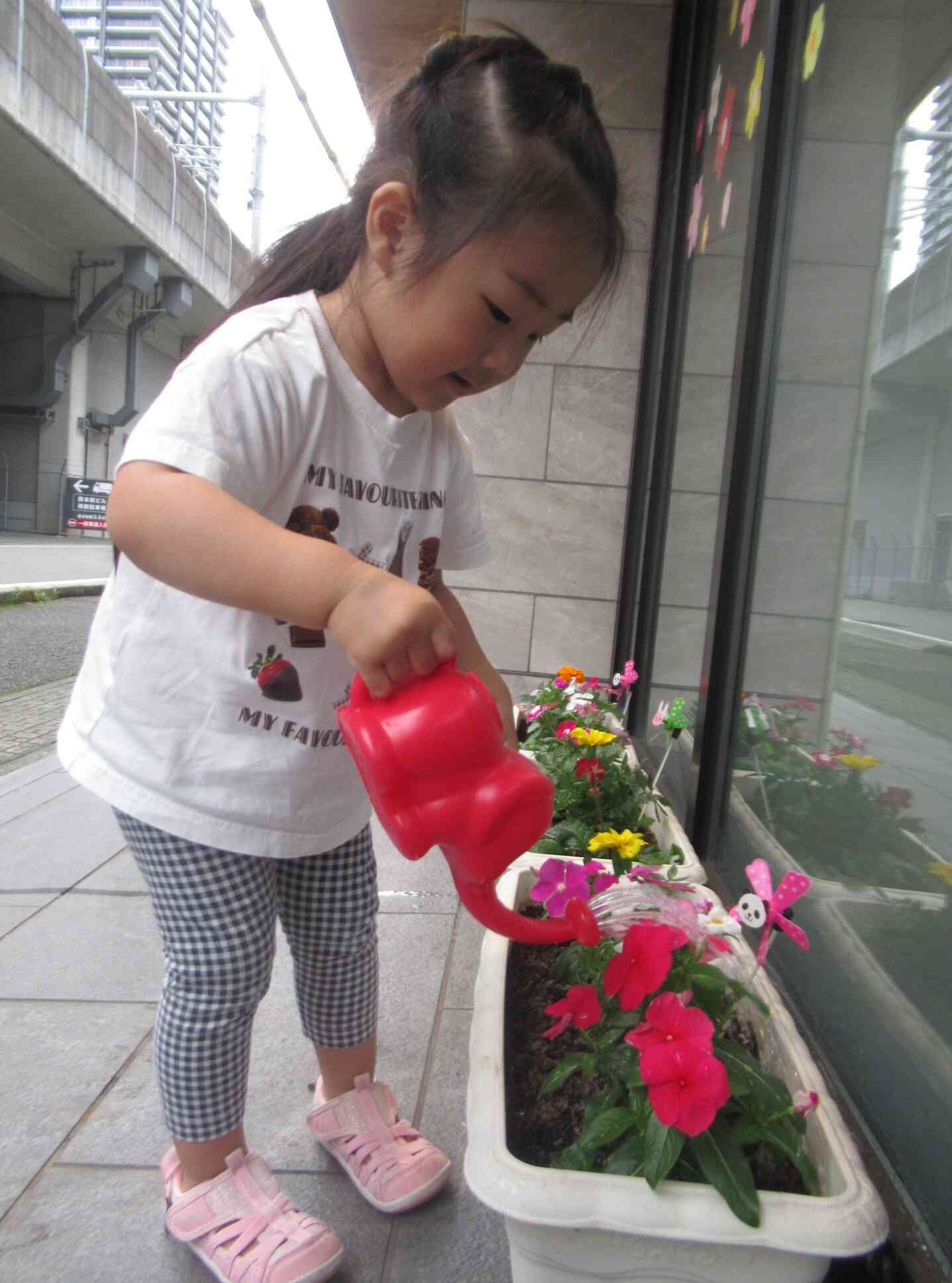 お花に水やり