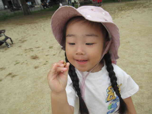 かわいいどんぐりが落ちてました。