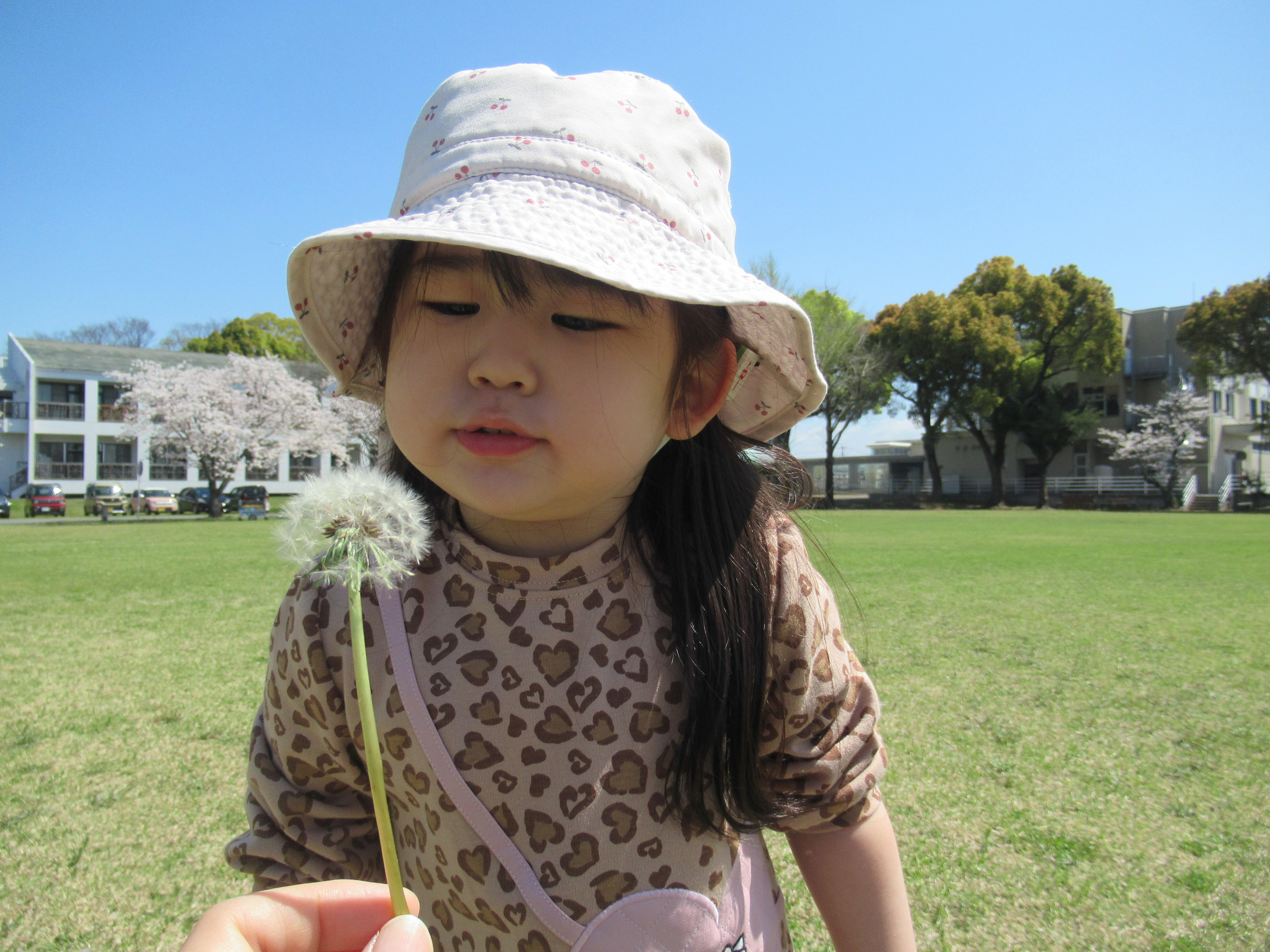 かわいい写真が撮れました。