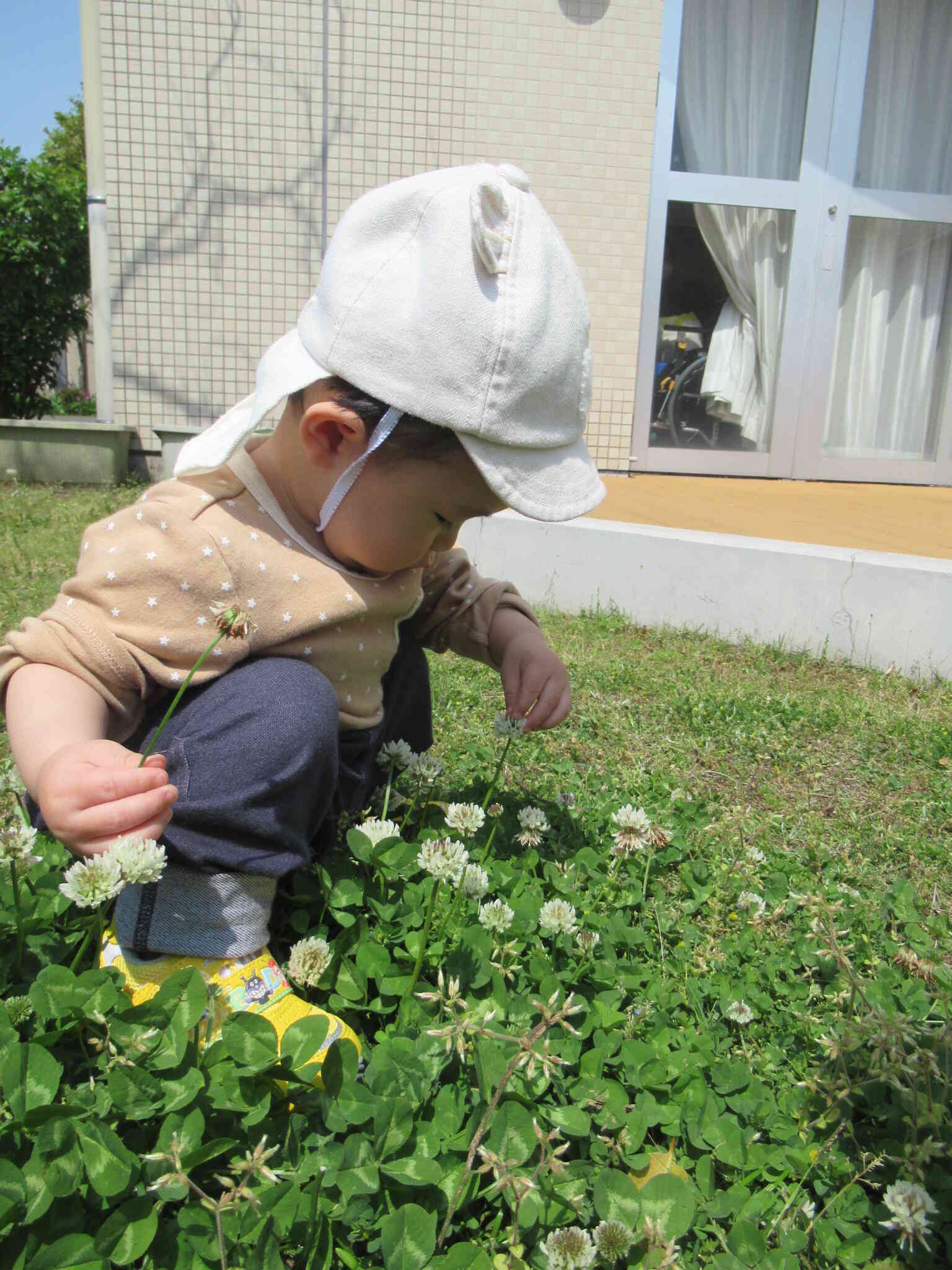 わ~、お花だ!