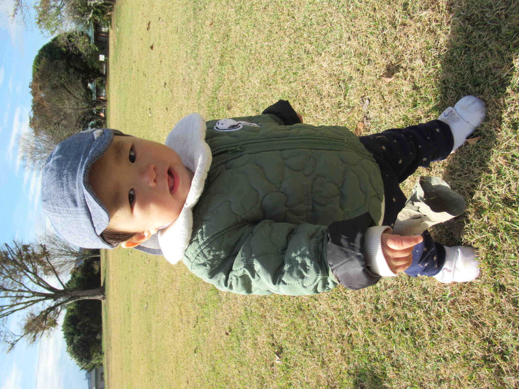 大きい落ち葉を見つけたよ。