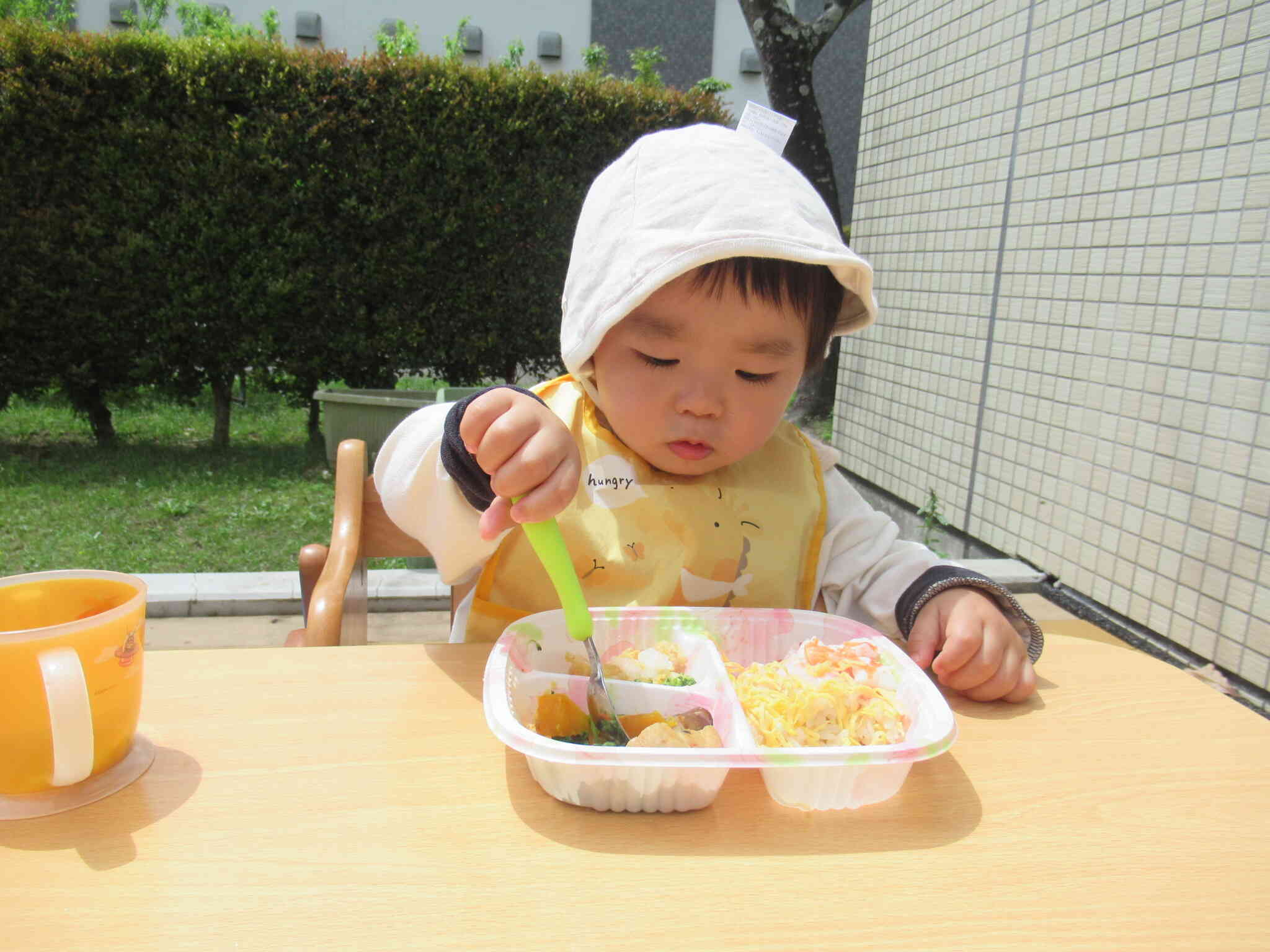 今度はカボチャにしよう