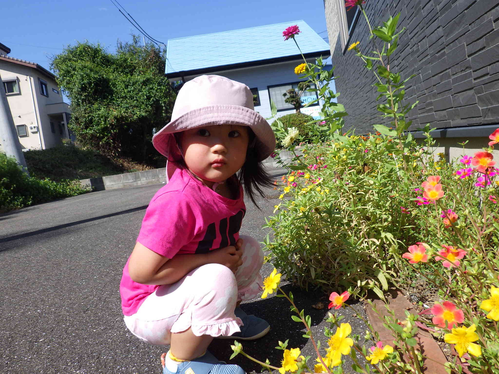 私も撮って～♪