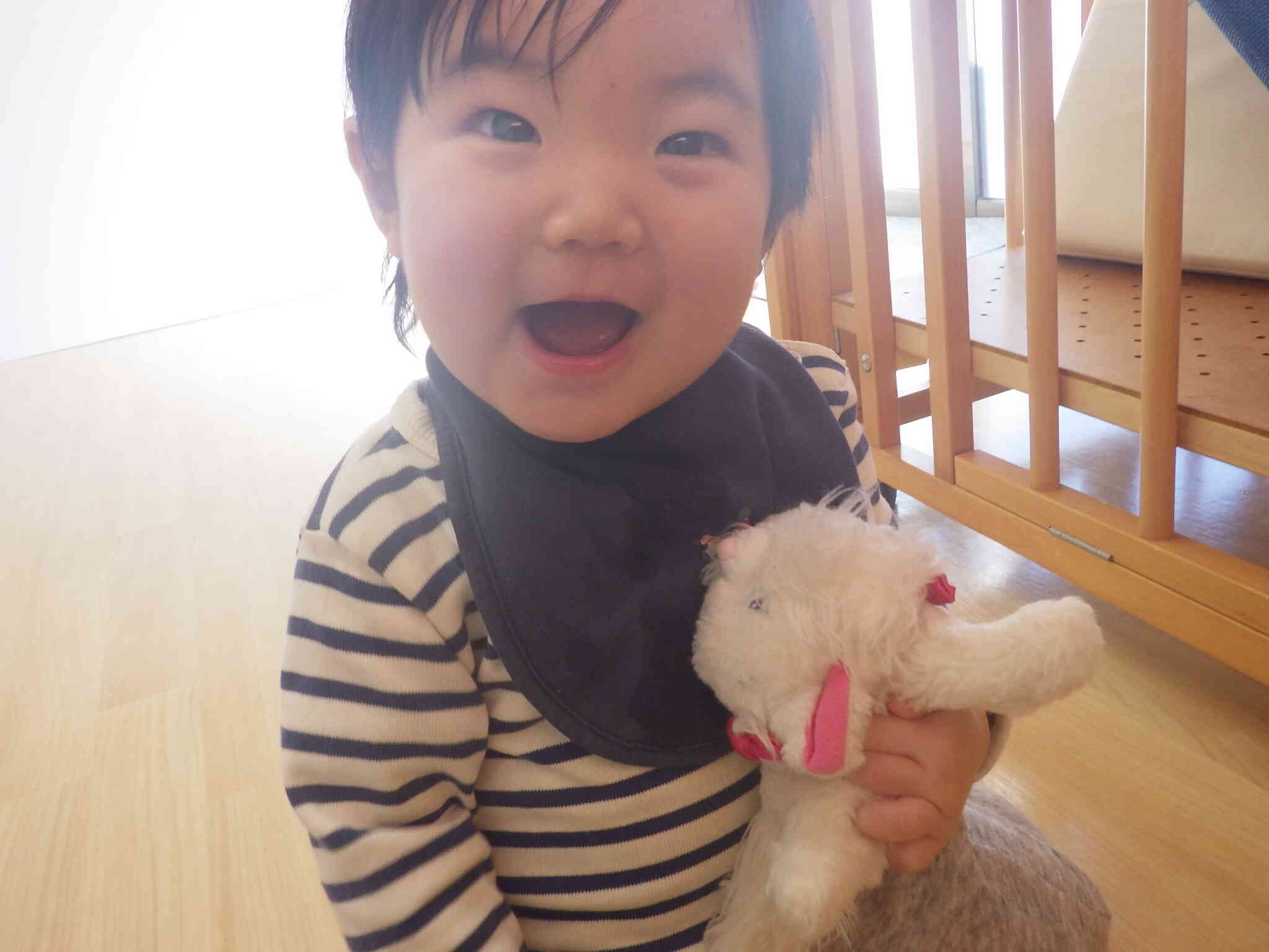 こちらは・・・