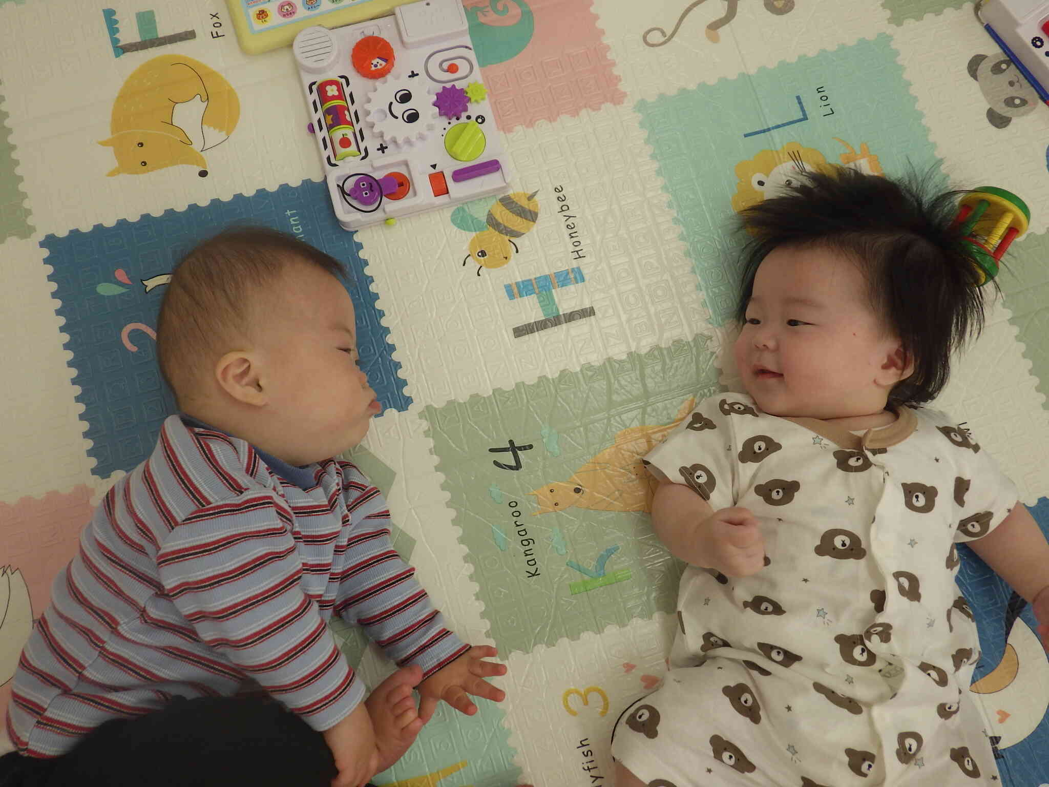 どんなおしゃべりしてるのかな？？