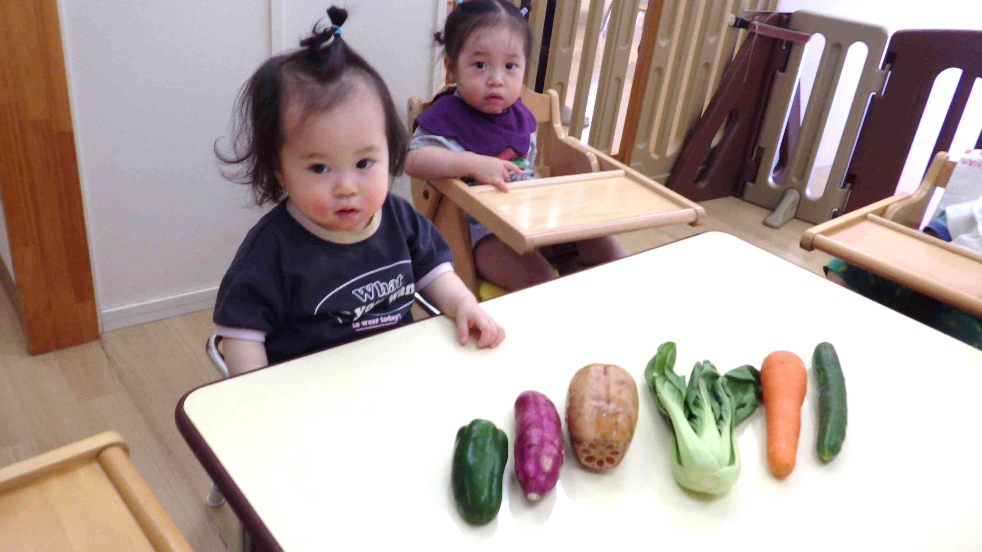 野菜に触れてみよう！