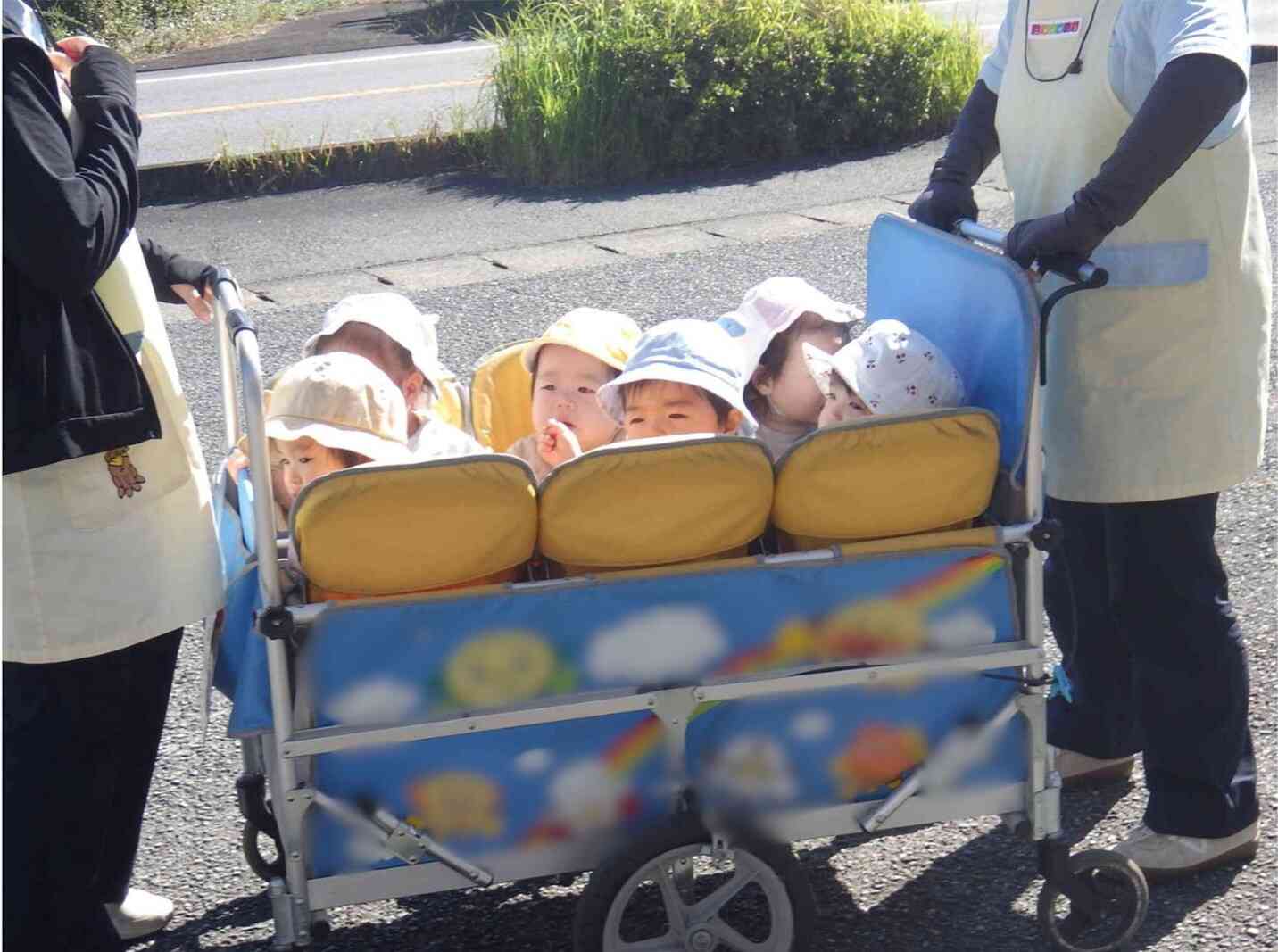 ひよこさんお散歩いってきます♪