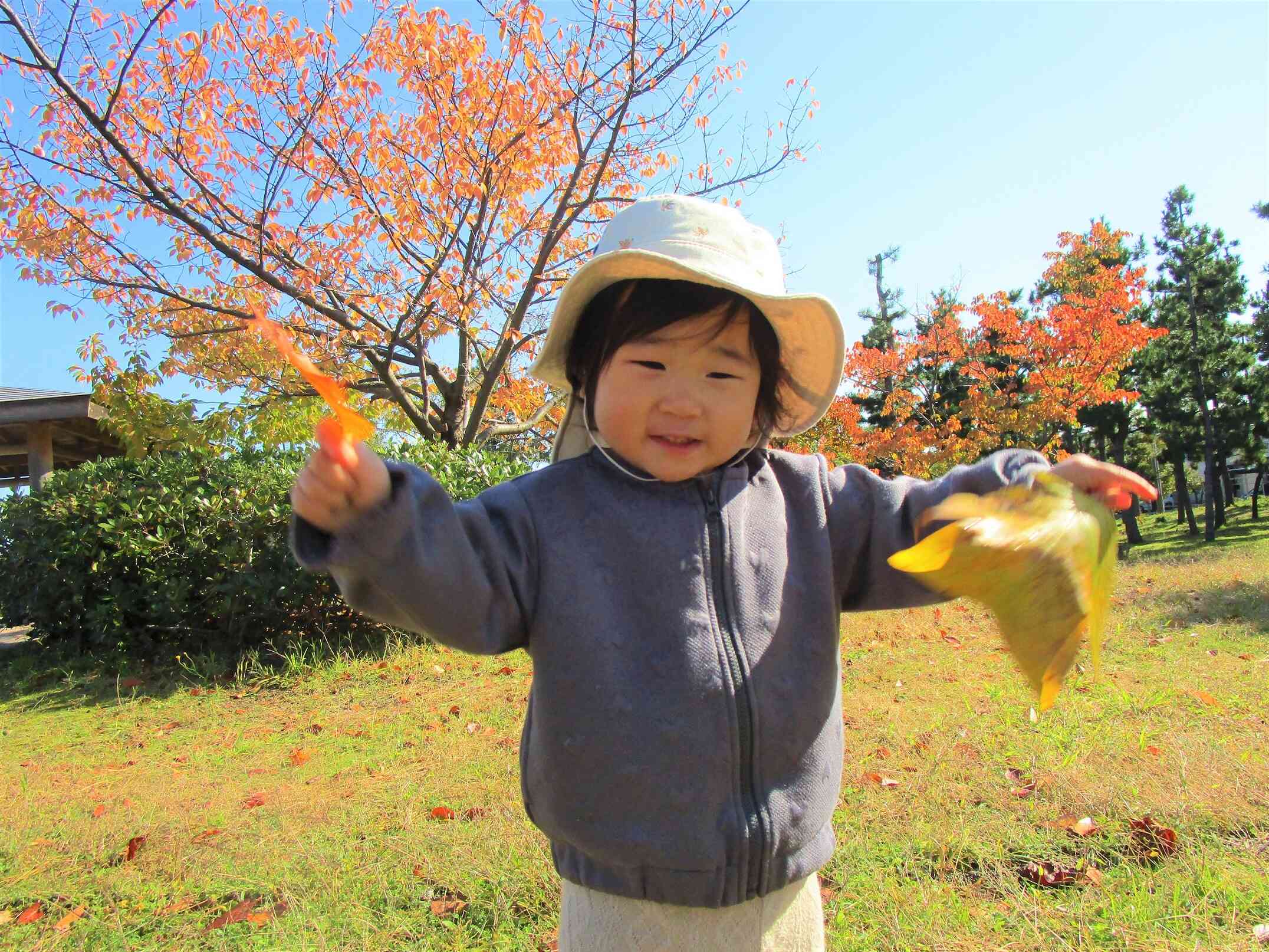 いろんな色の葉っぱ