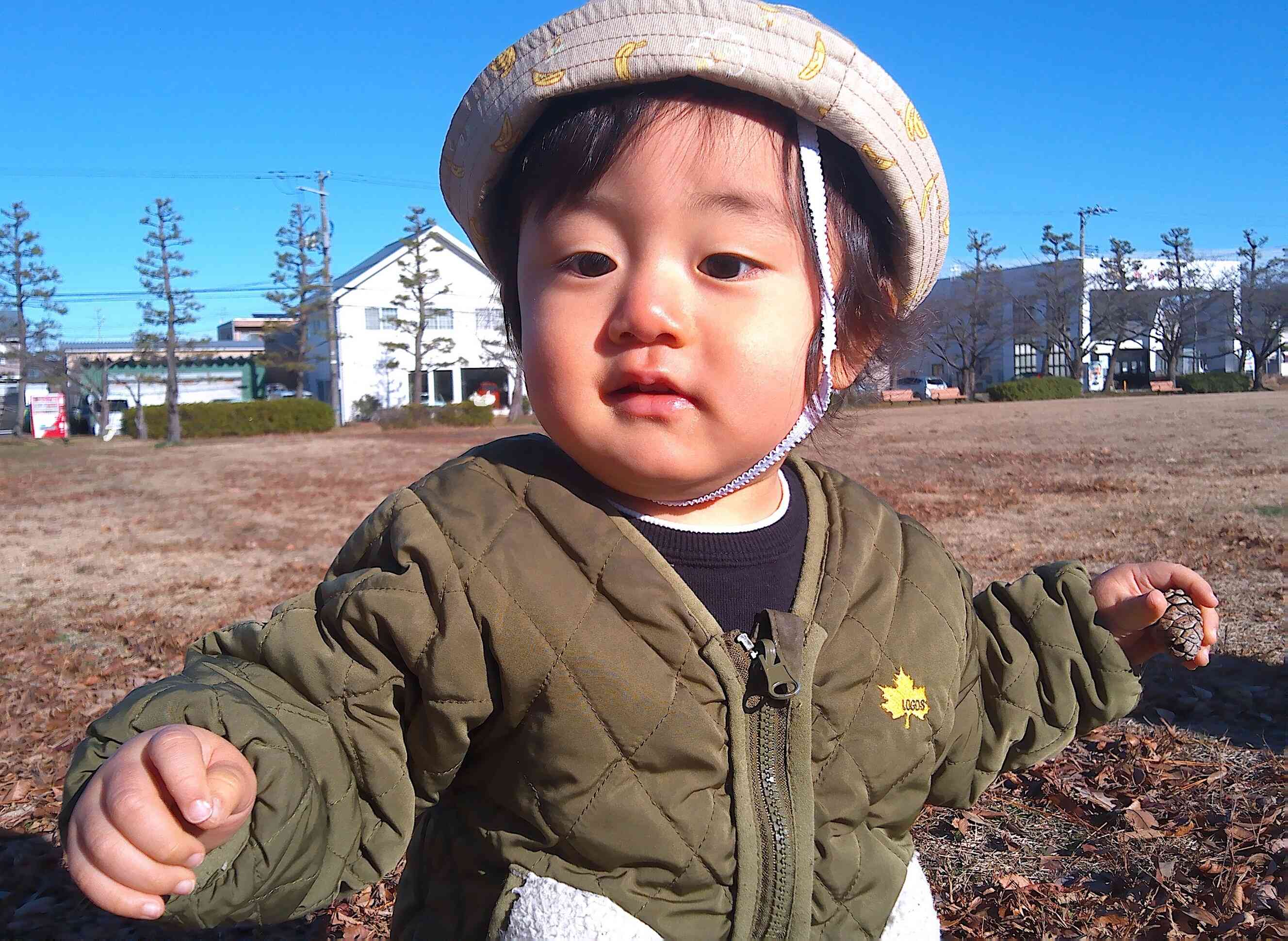 松ぼっくりみーつけた！