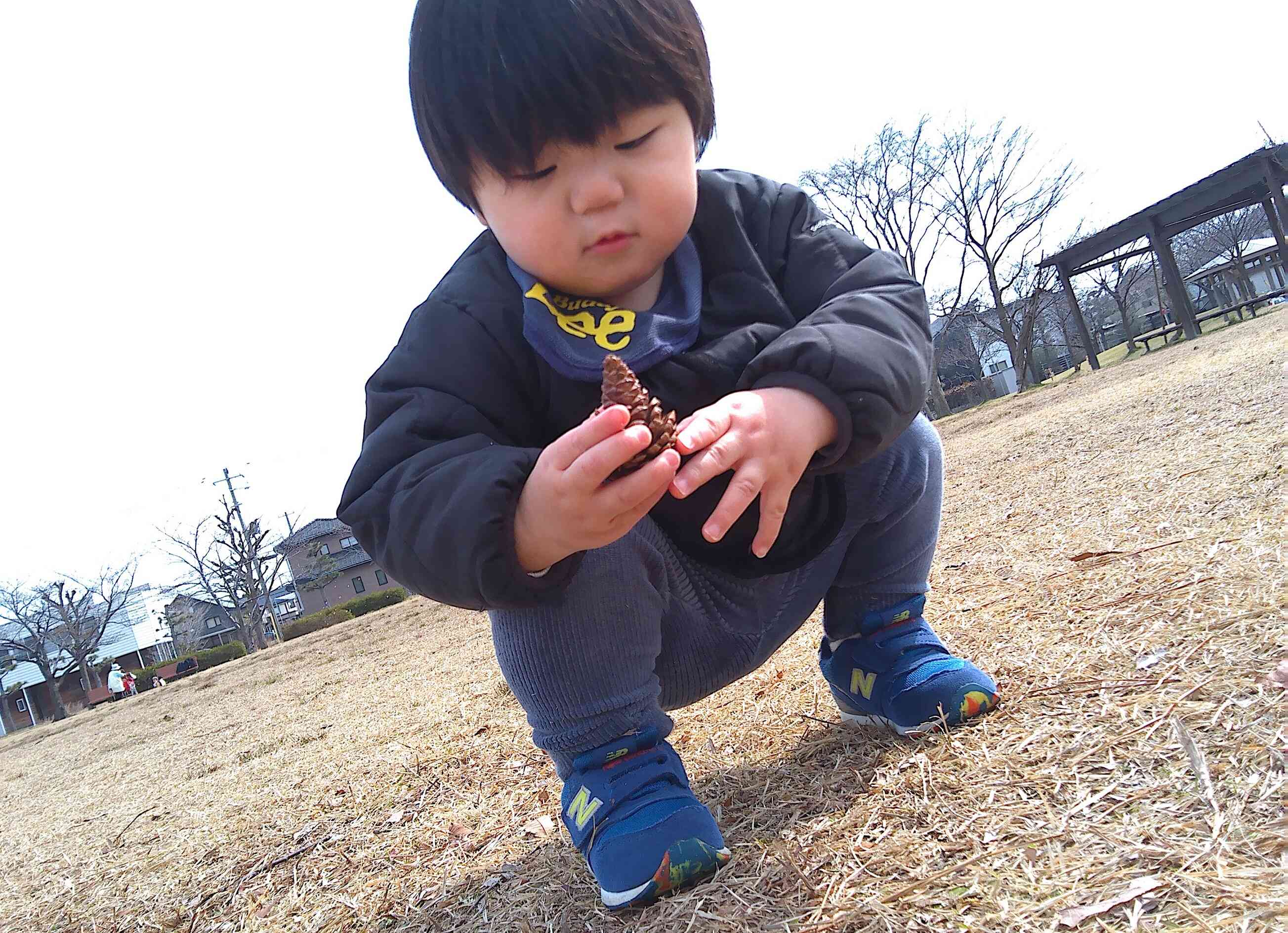 何があるかな？