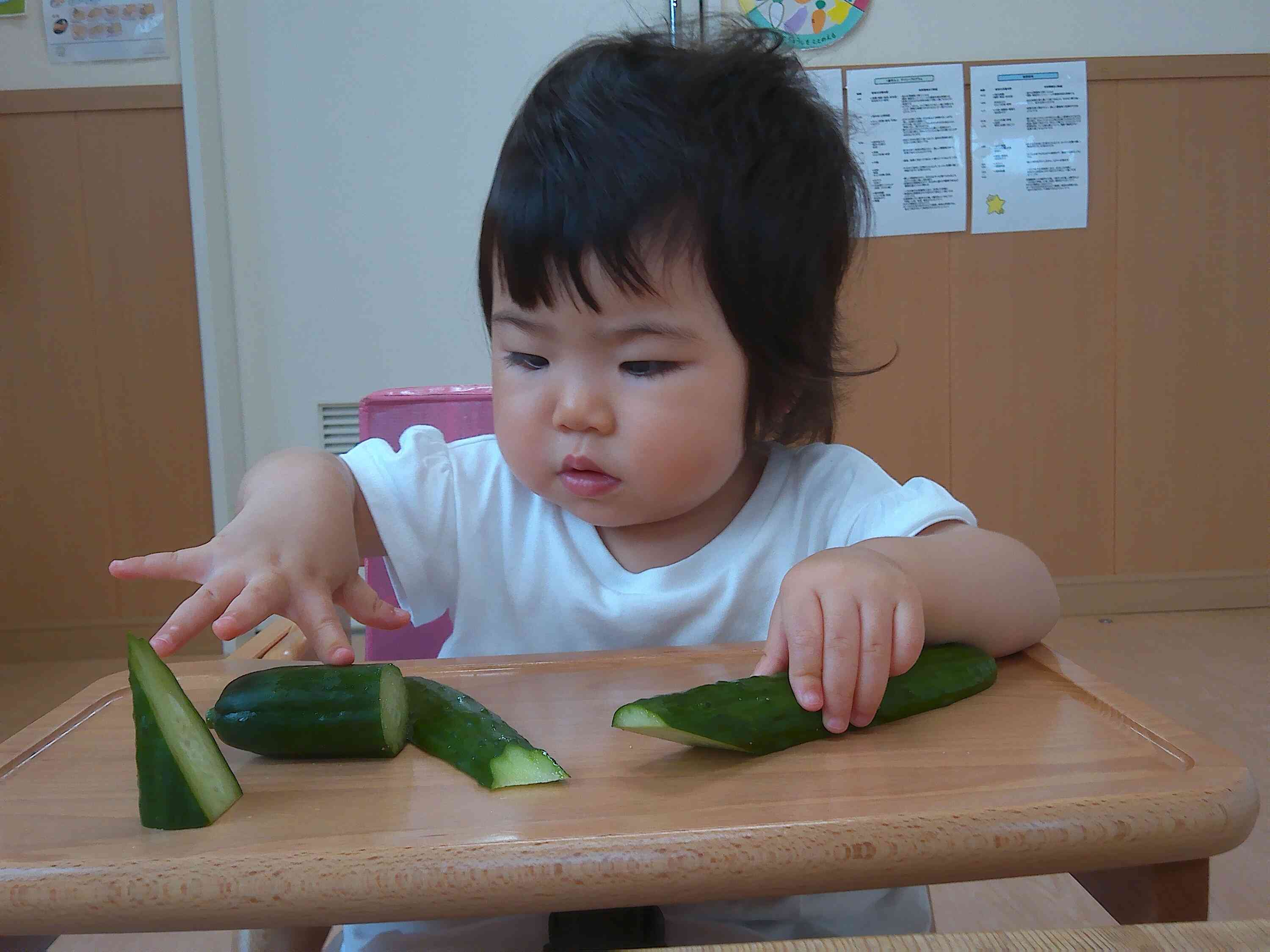 夏の野菜に触れてみたよ！