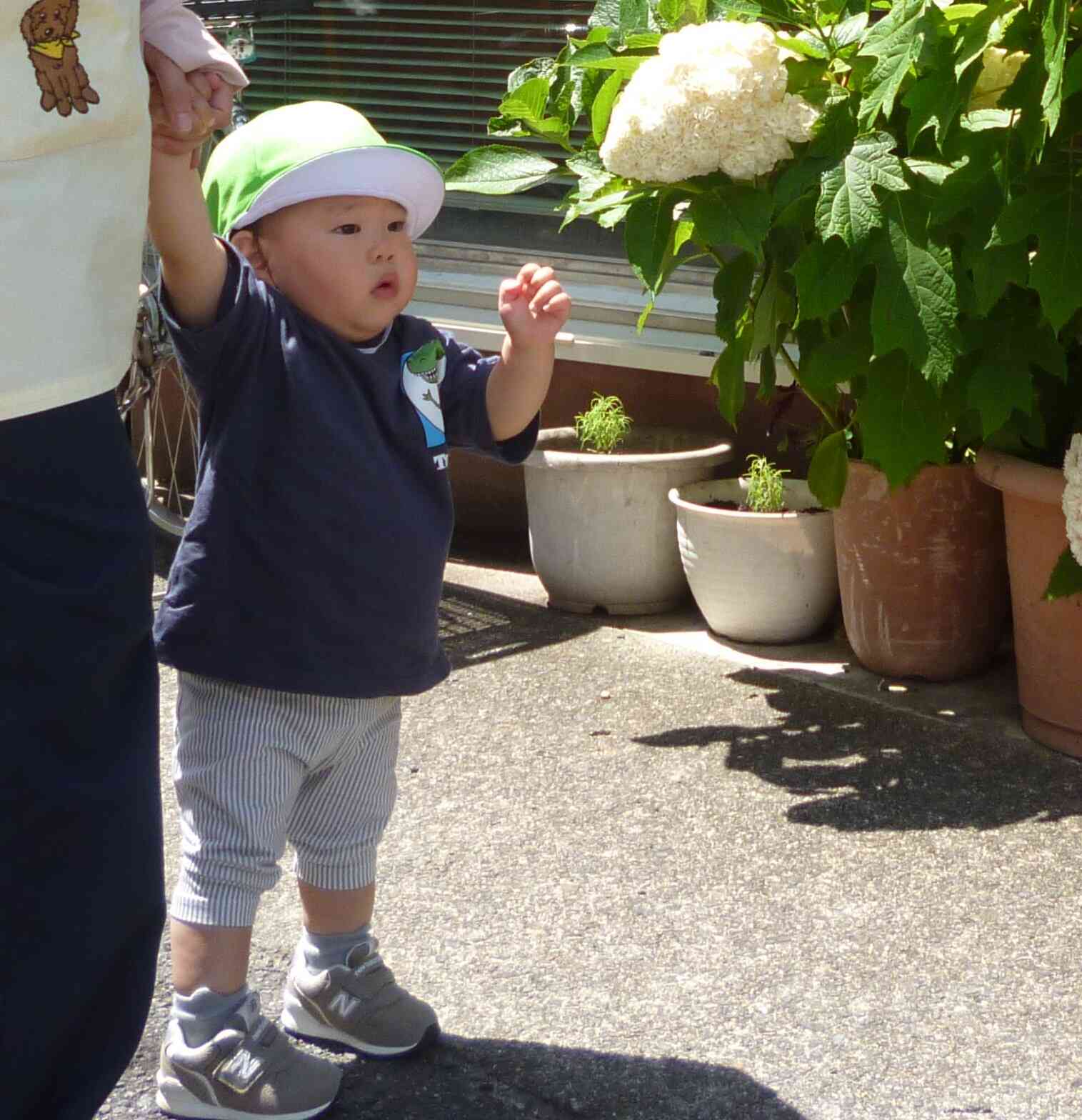 まじまじっ