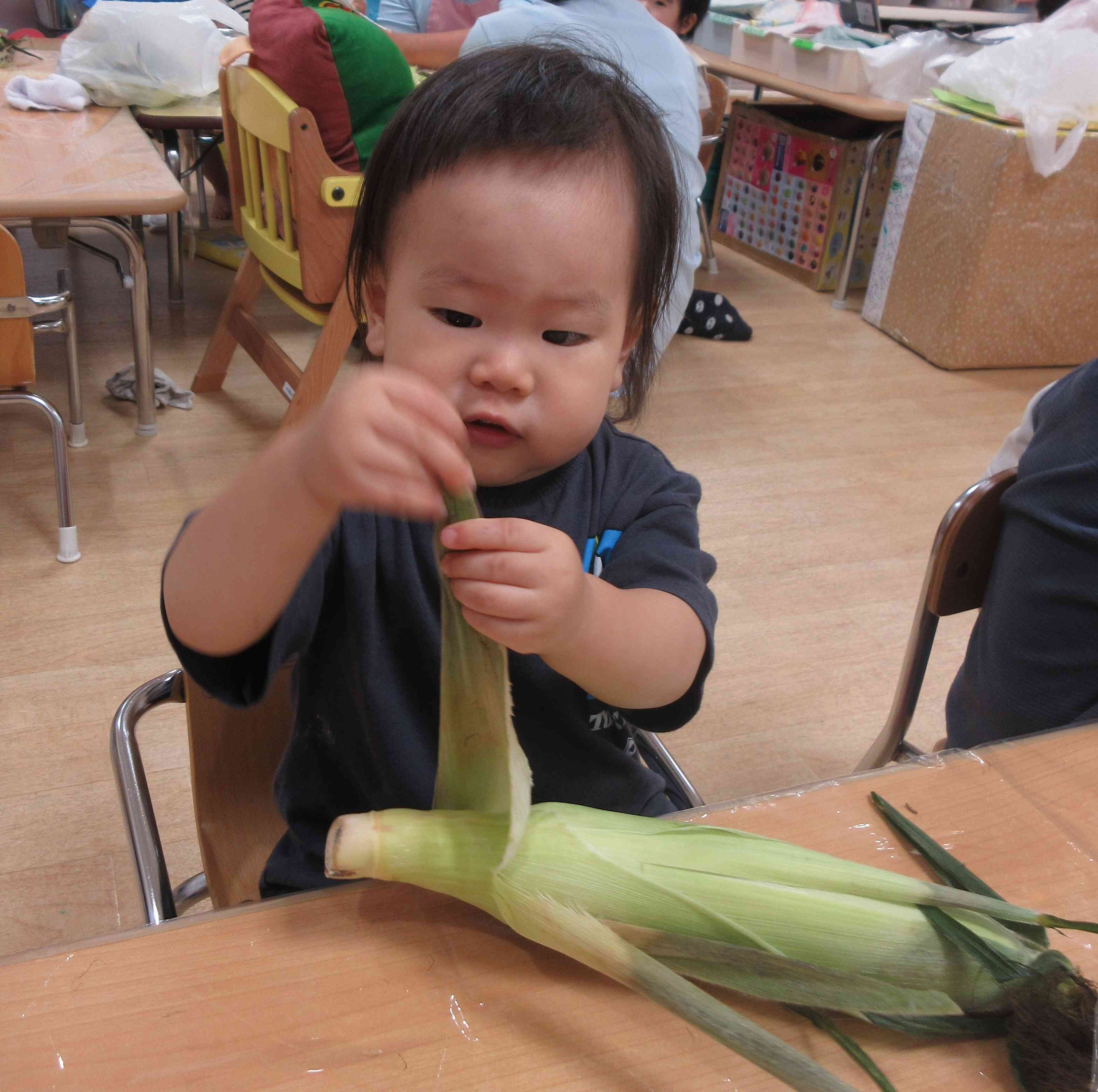 8月食育　とうもろこしの皮を剥こう！