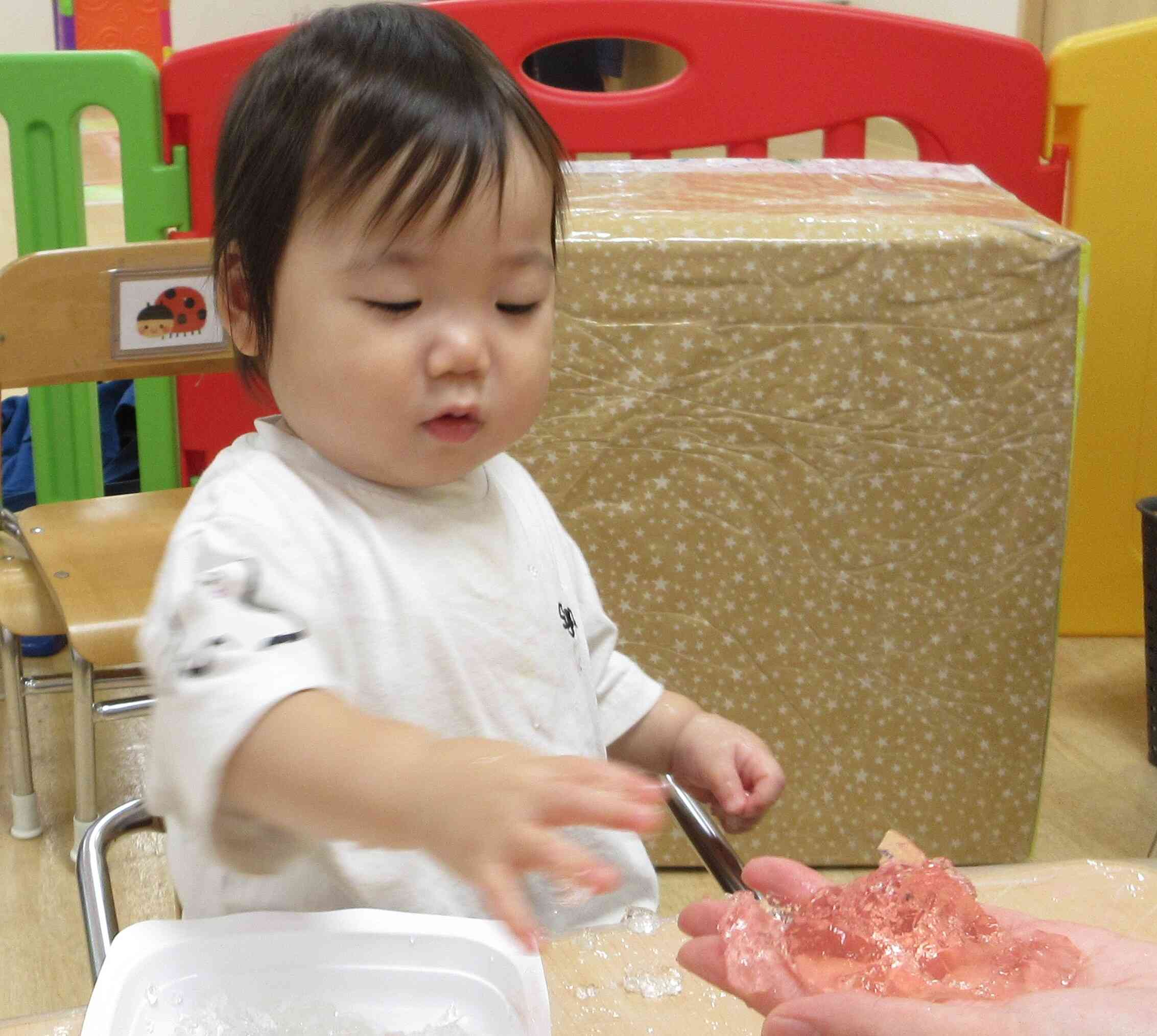 今日の活動は～…寒天遊び！