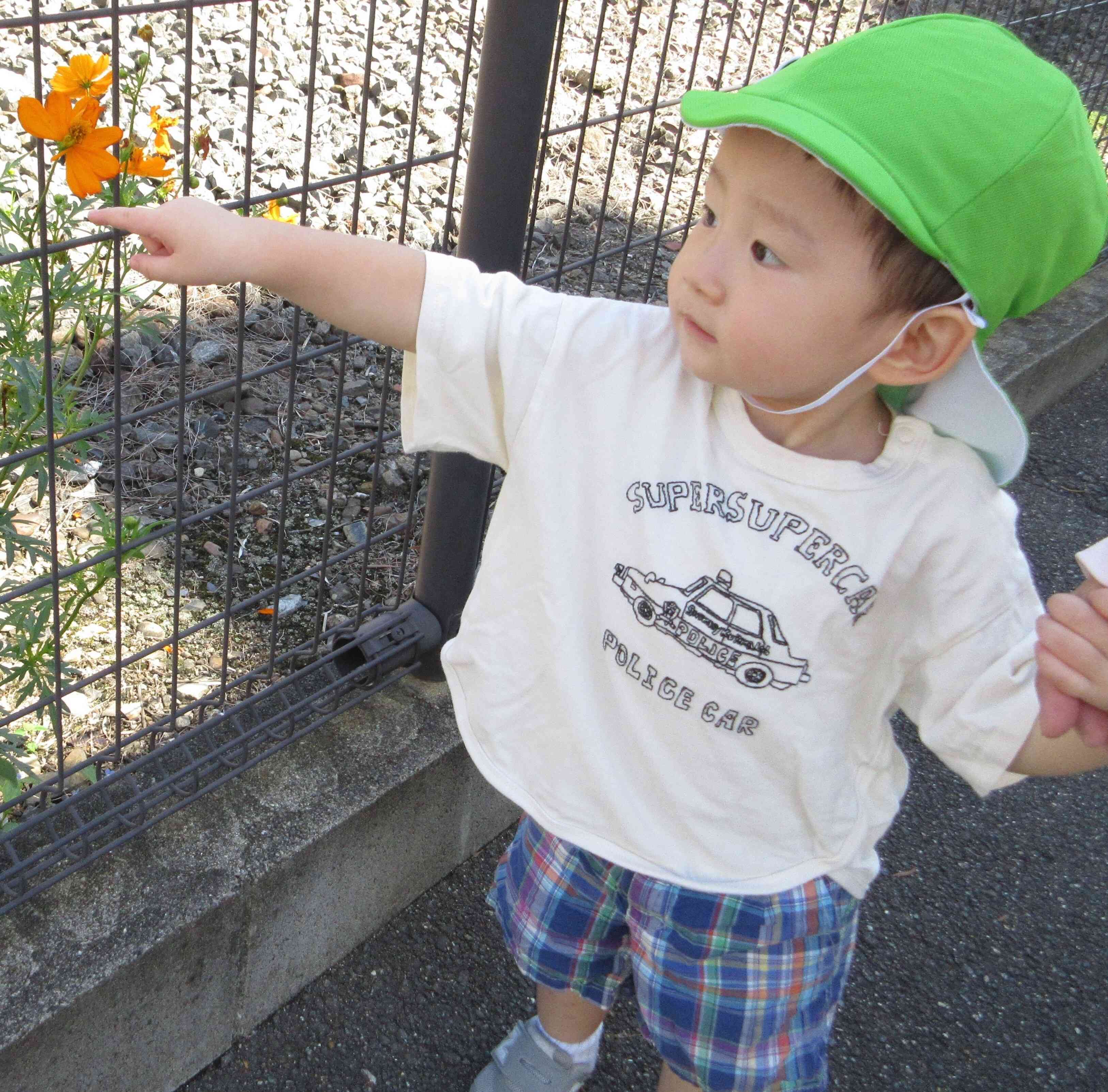 久しぶりのお散歩♪