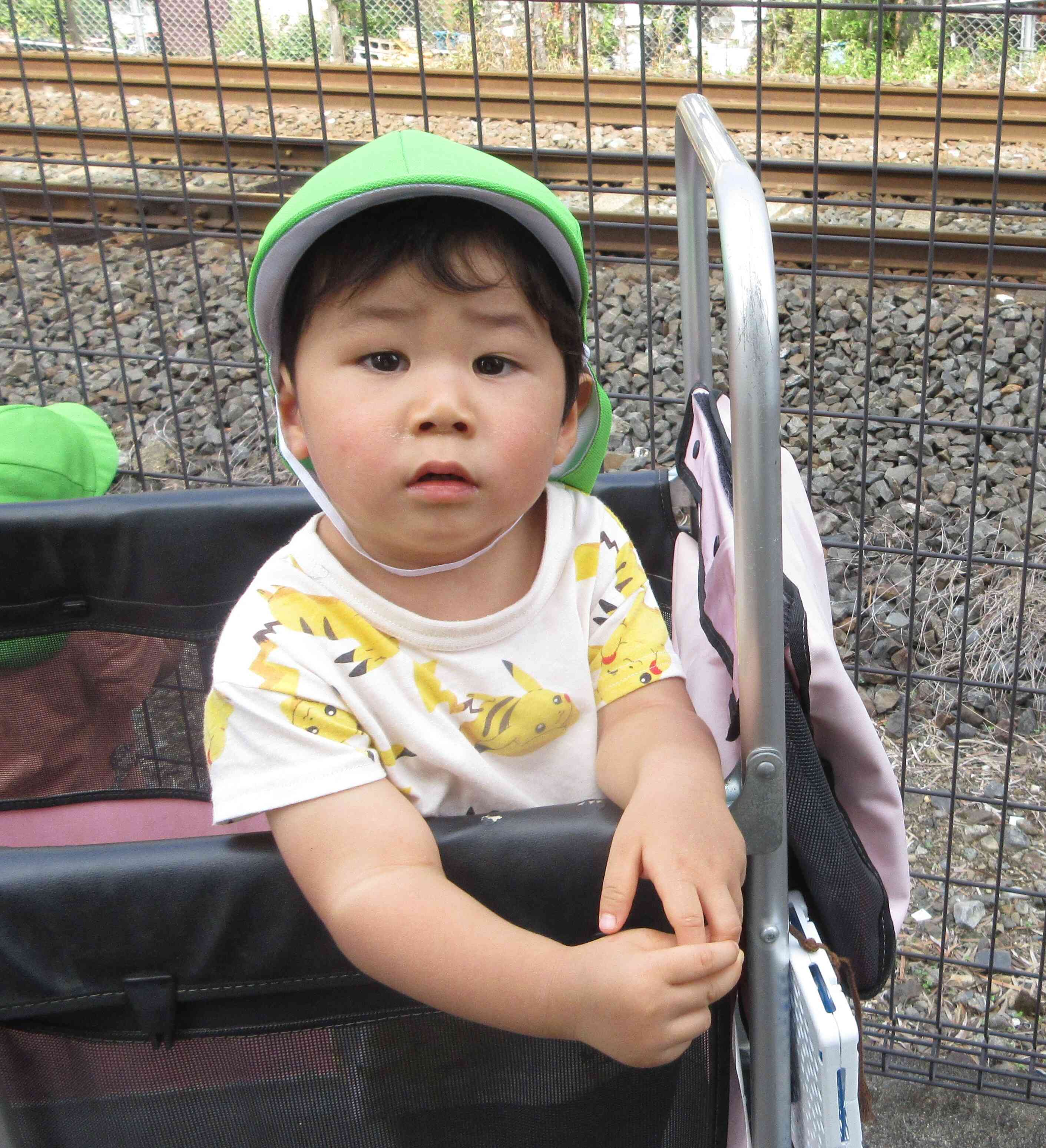 これからもお散歩いっぱい行こうね♪