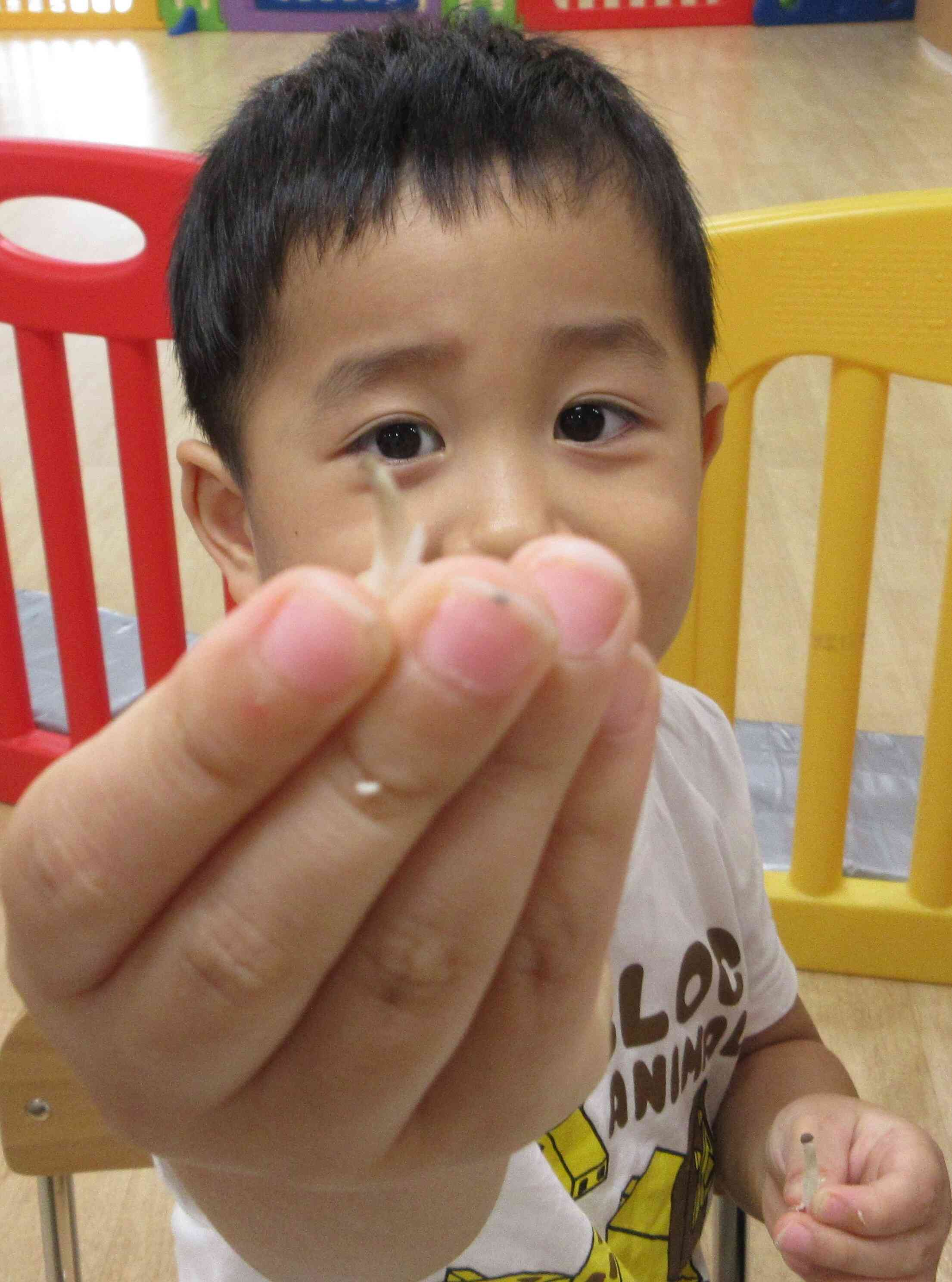 「ちっちゃいきのこあったで！」