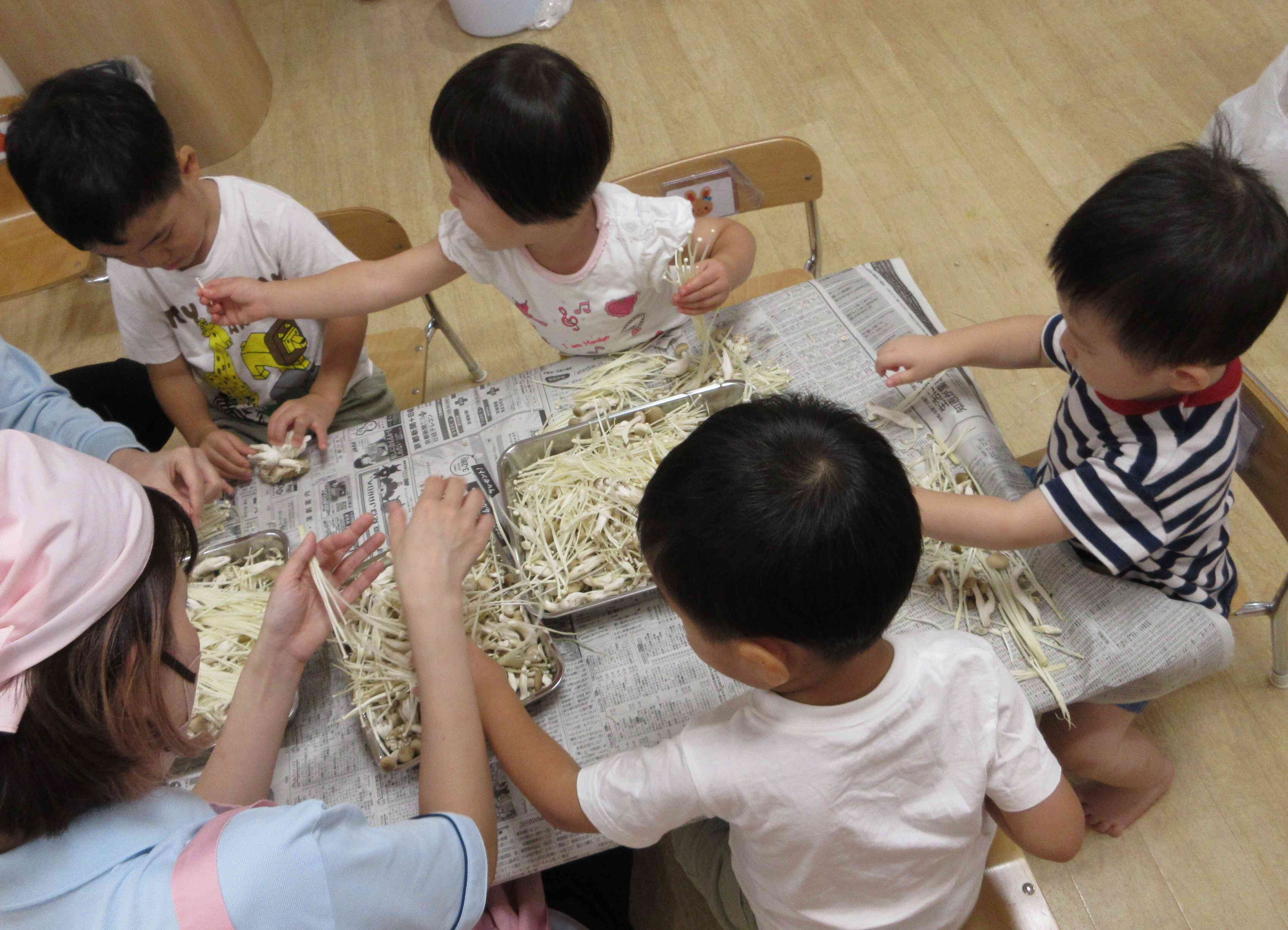 こんなきのこもあったよ！