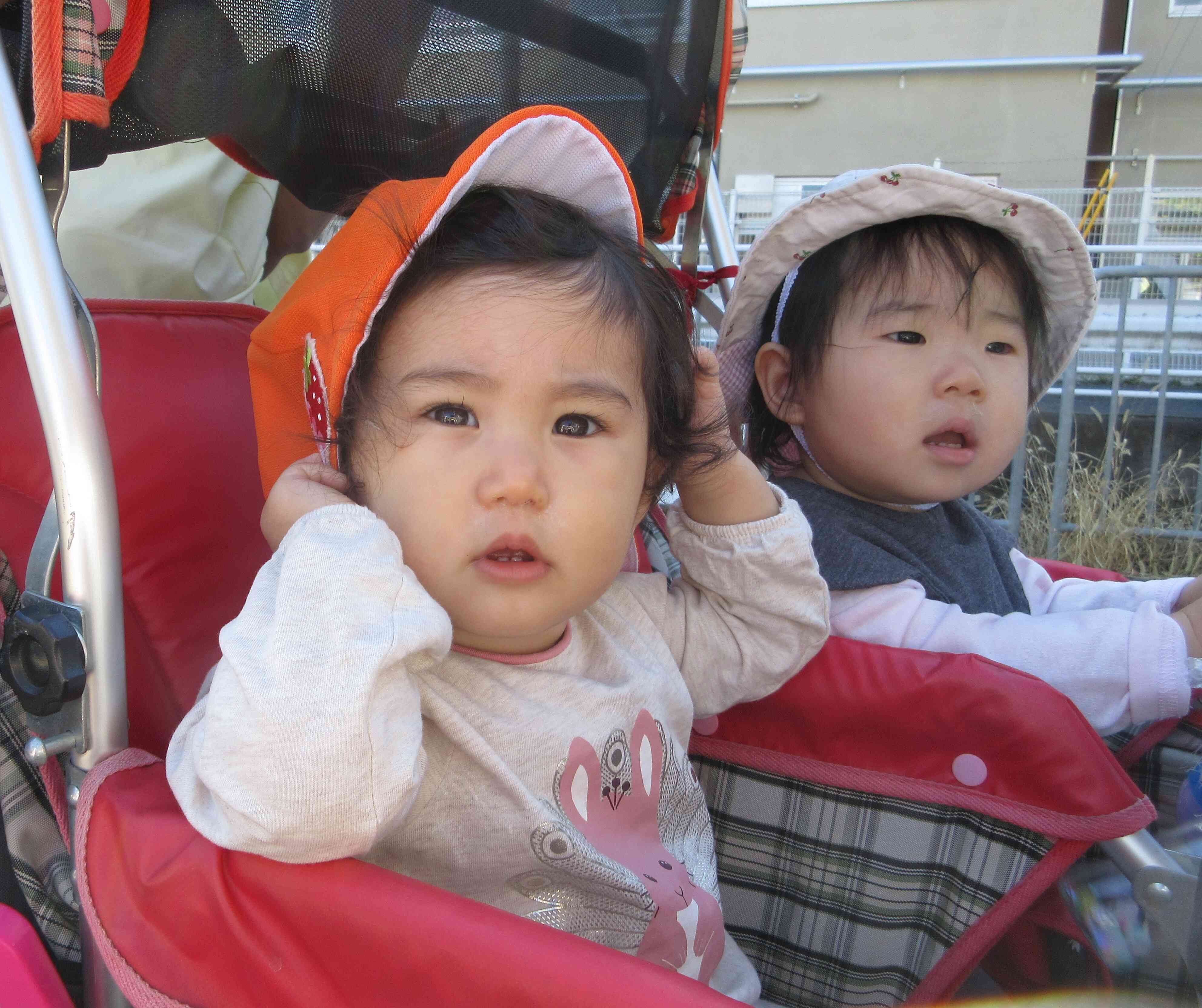 お散歩日和～☀