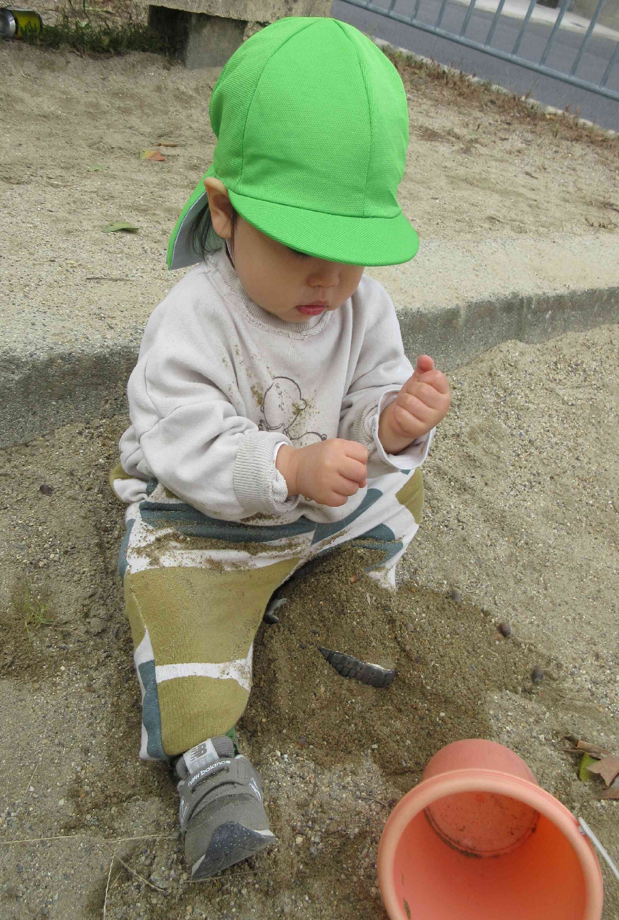 どんぐりコロコロ～♪