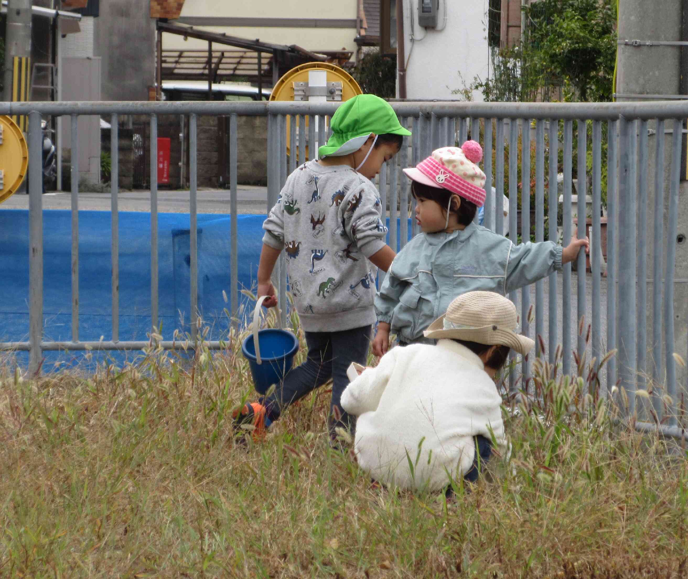 バッタいるかな～？