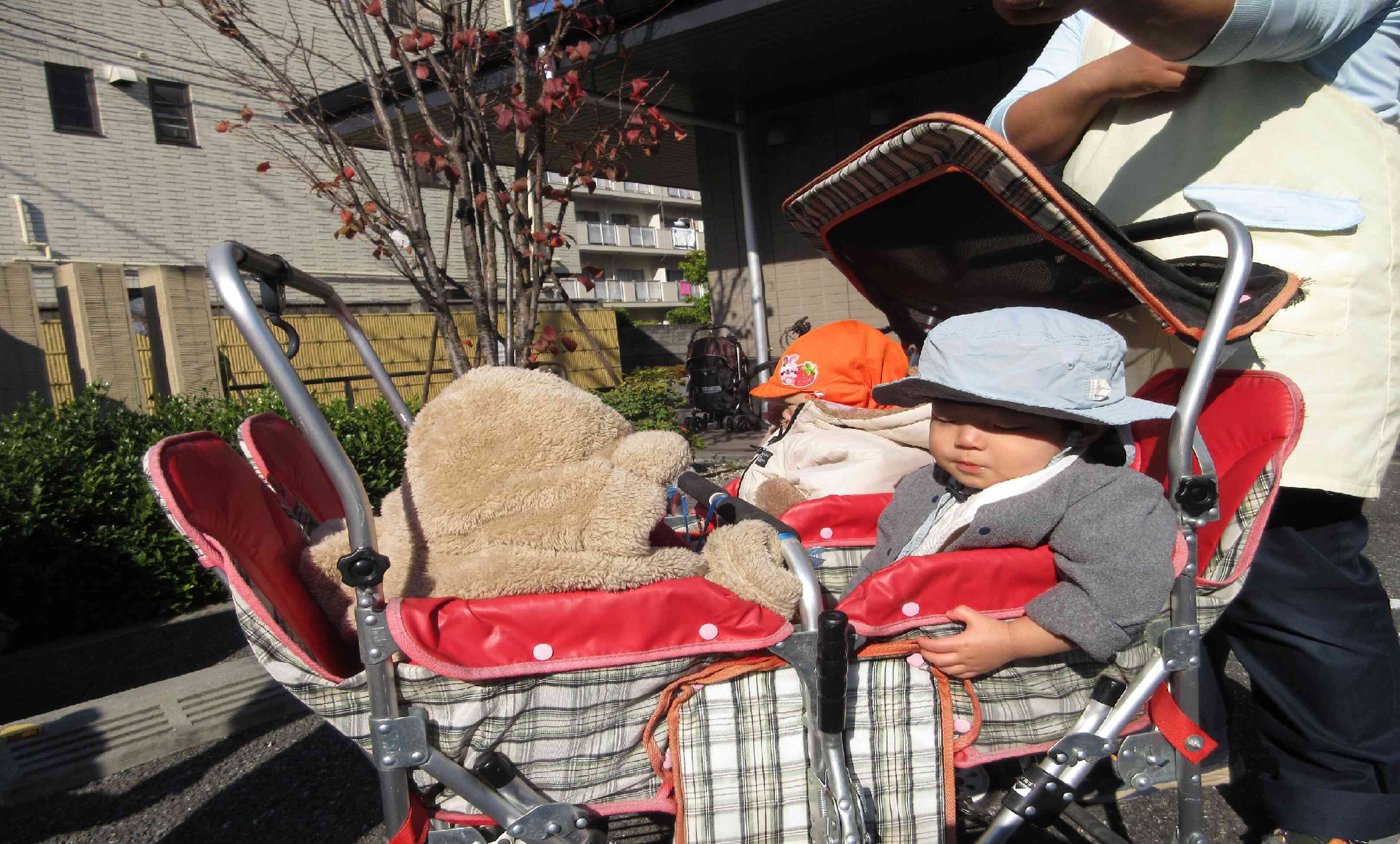 僕たちも、バギーに乗ってお散歩に行くよ～！