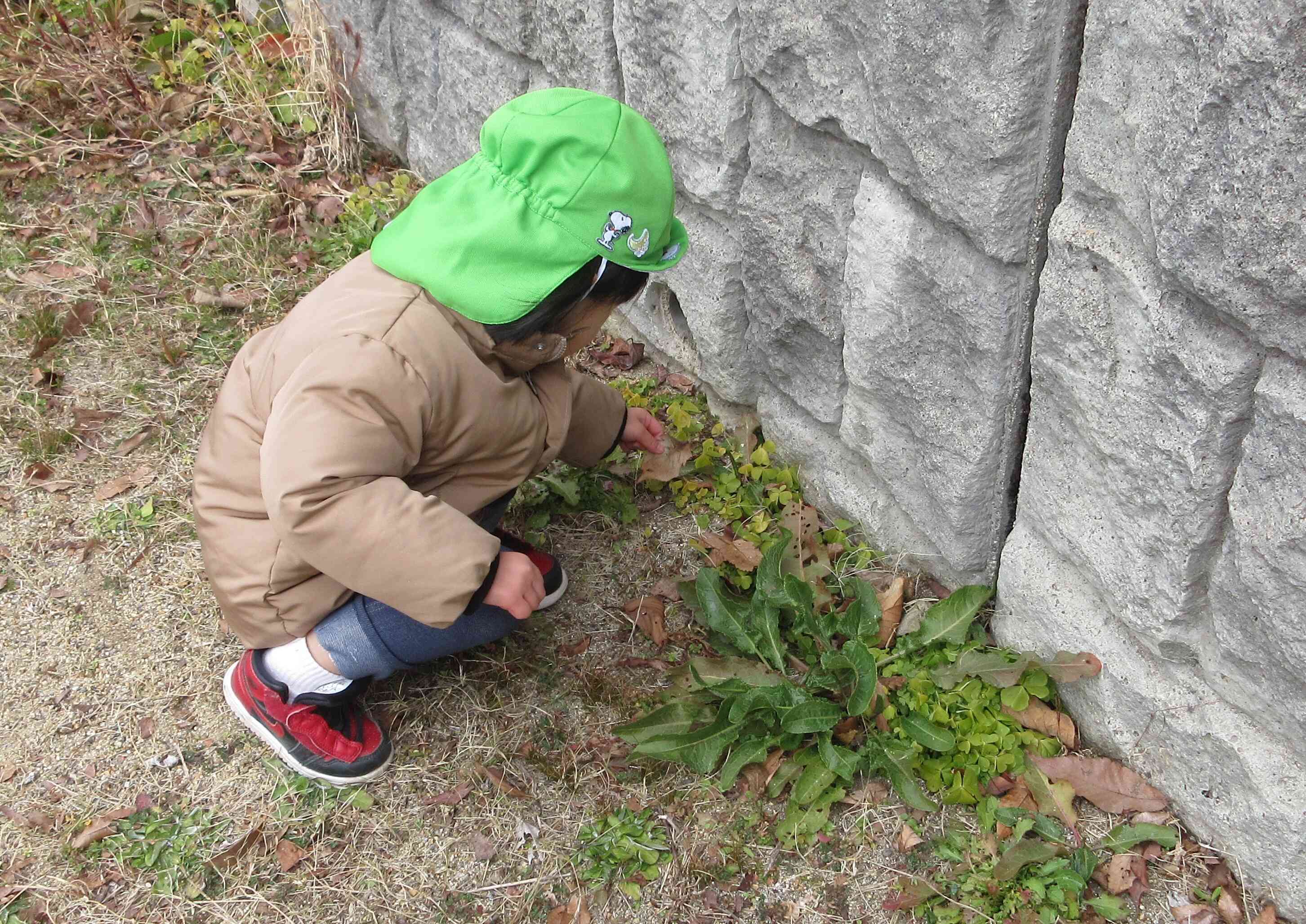穴発見！「なんかでてきたらどうする～？」