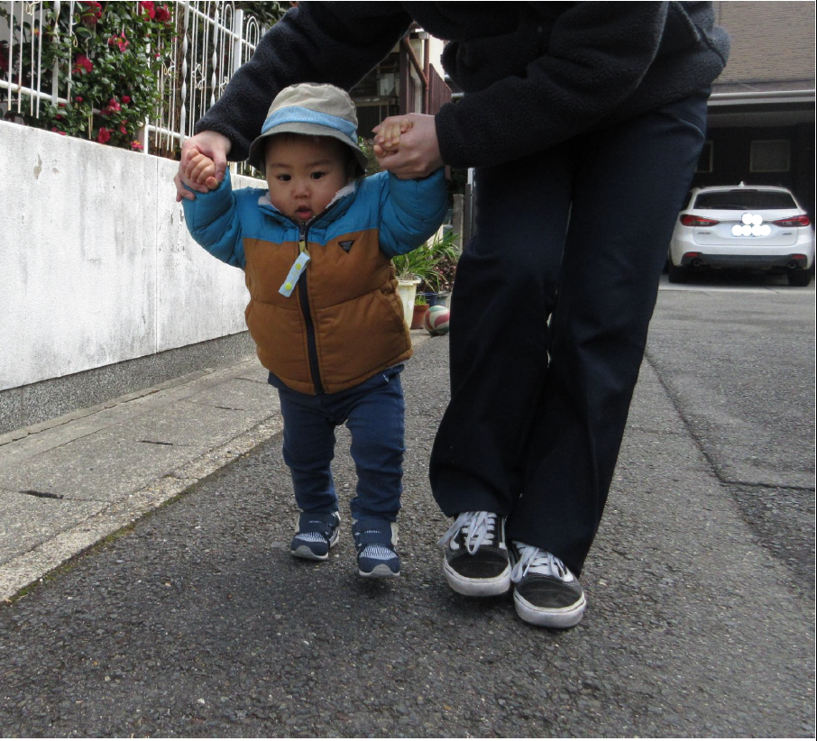 ひよこ組　お散歩の様子