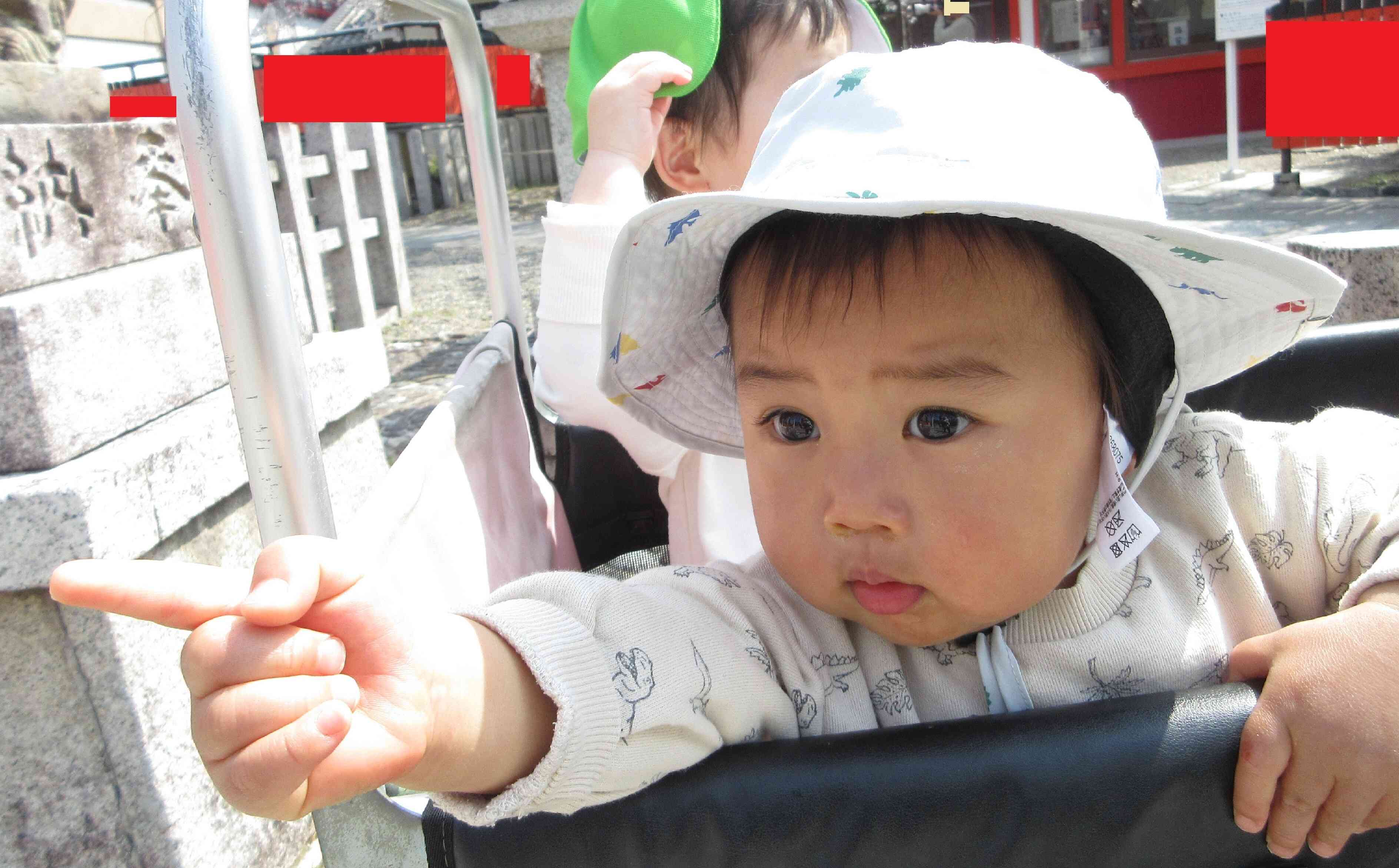 気になるの見つけた！！