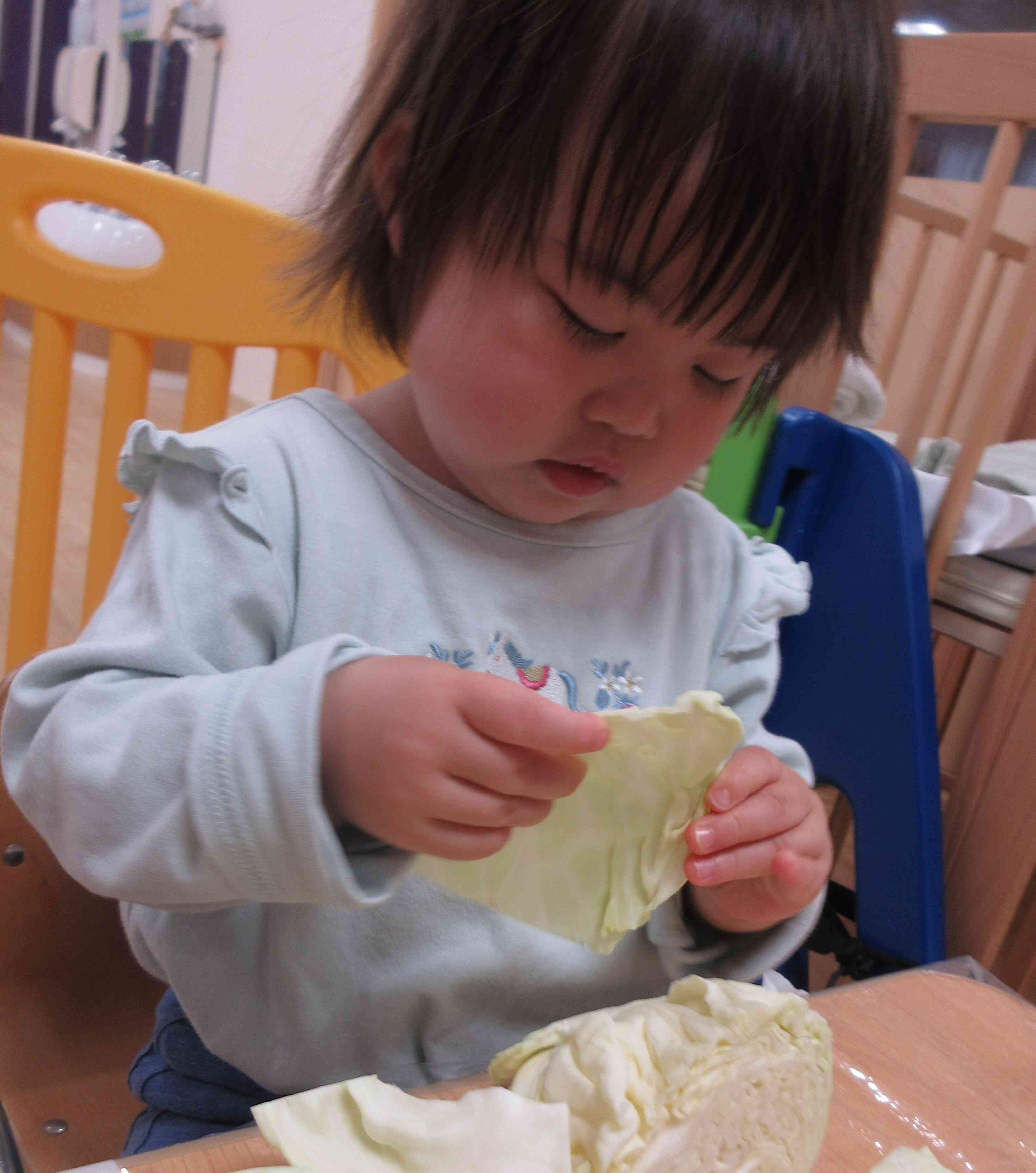 ちぎることができるかな？♫