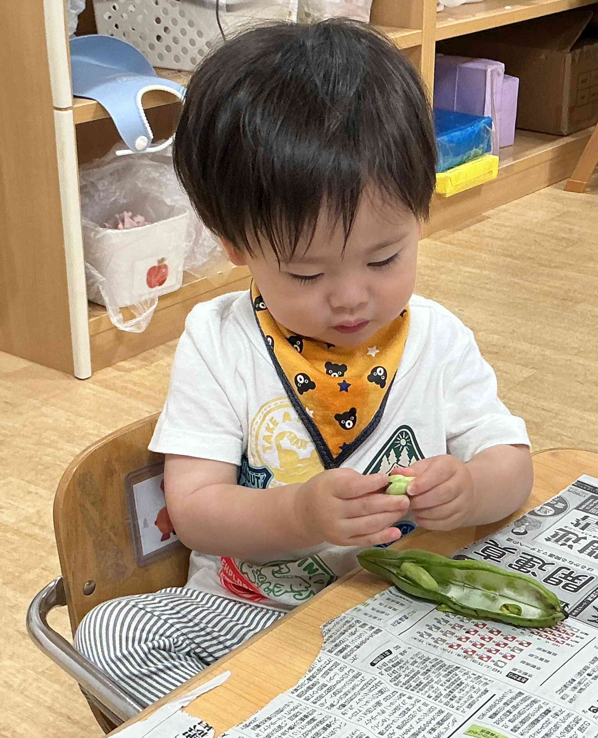 そら豆の中はどうなっているのかな…