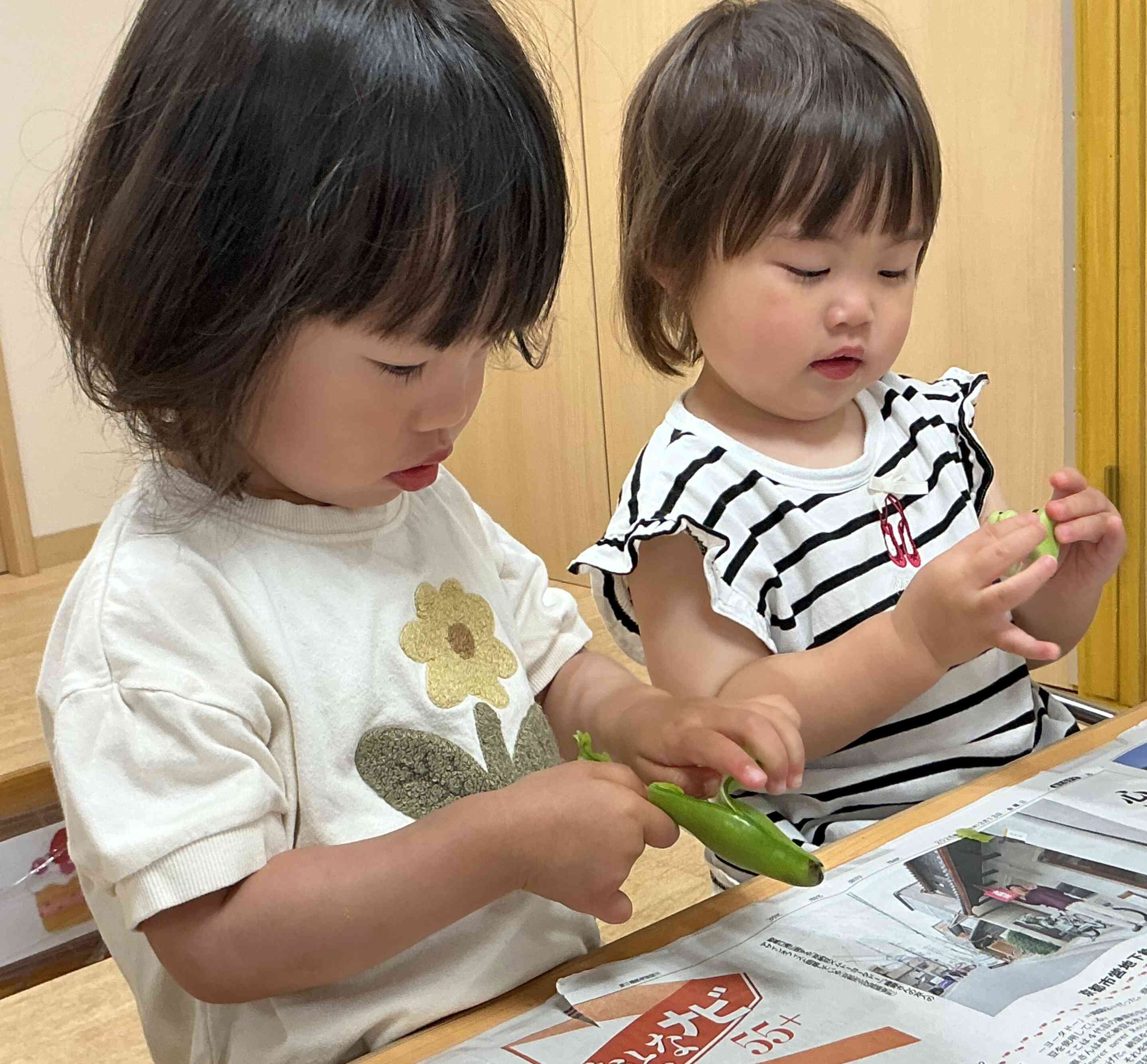 ５月の食育　そら豆！