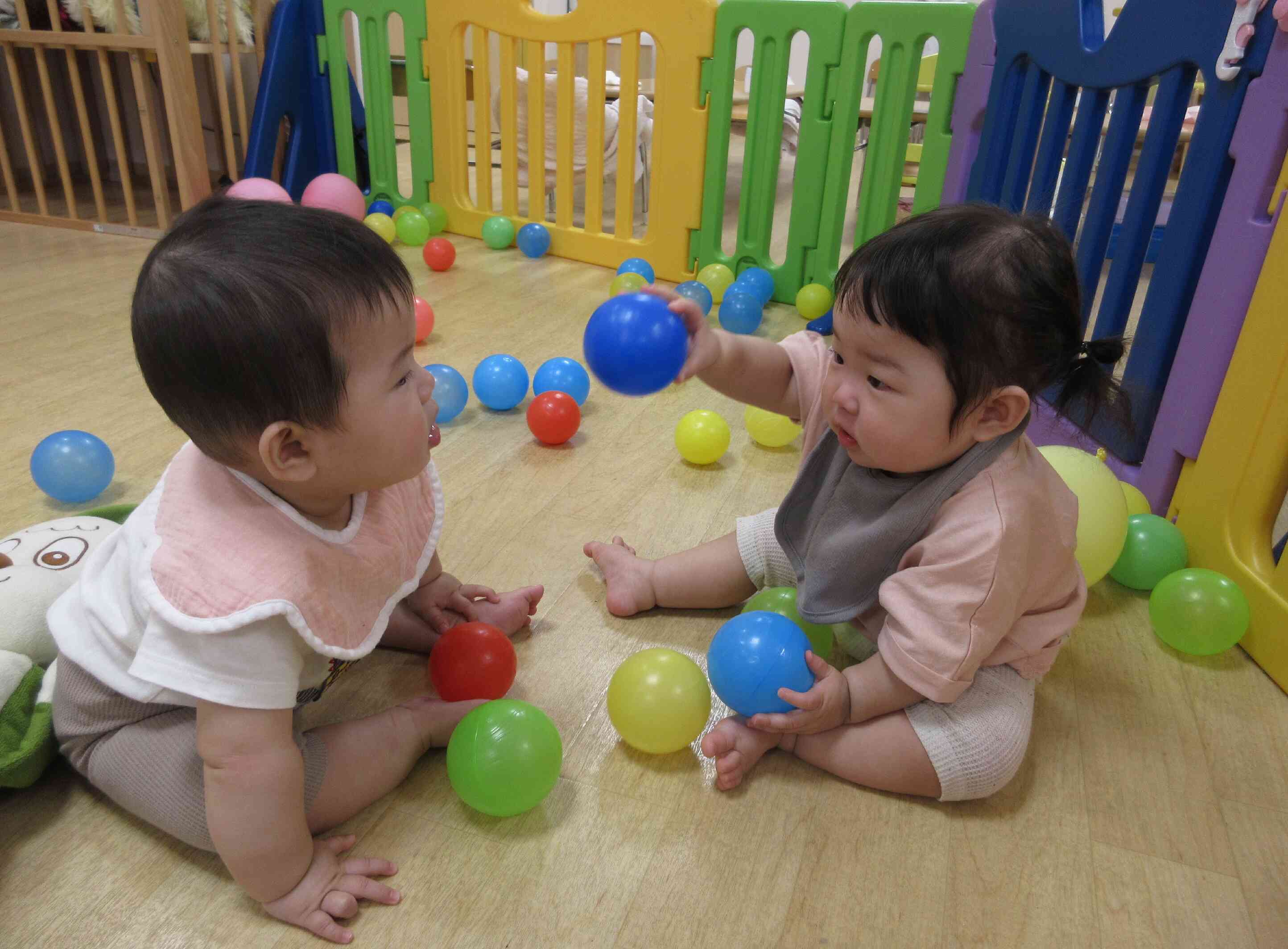 最近のひよこ組の様子