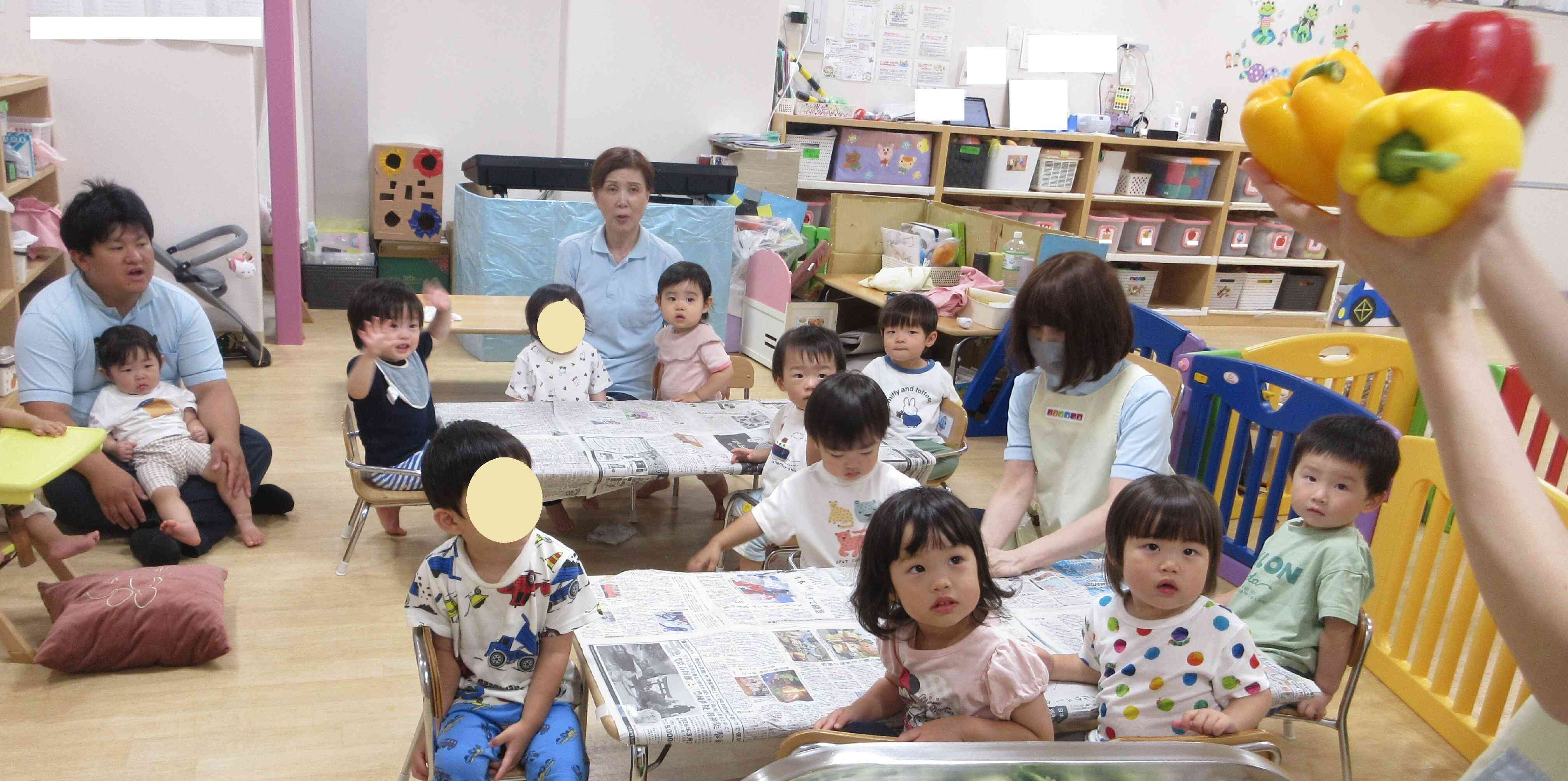 ピーマンとパプリカの種を、取ってみよう！！