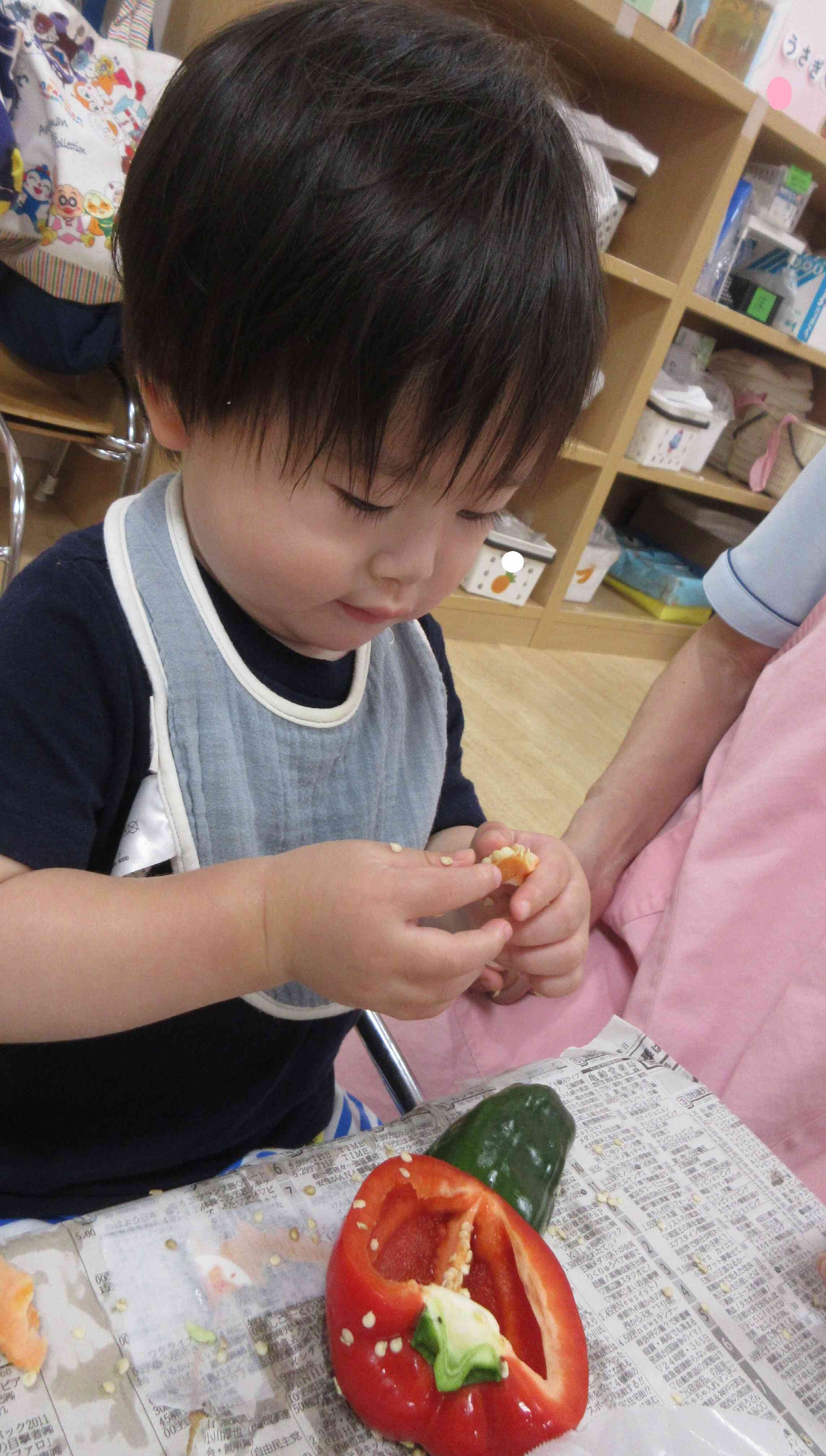 これがパプリカの種なんだ…！